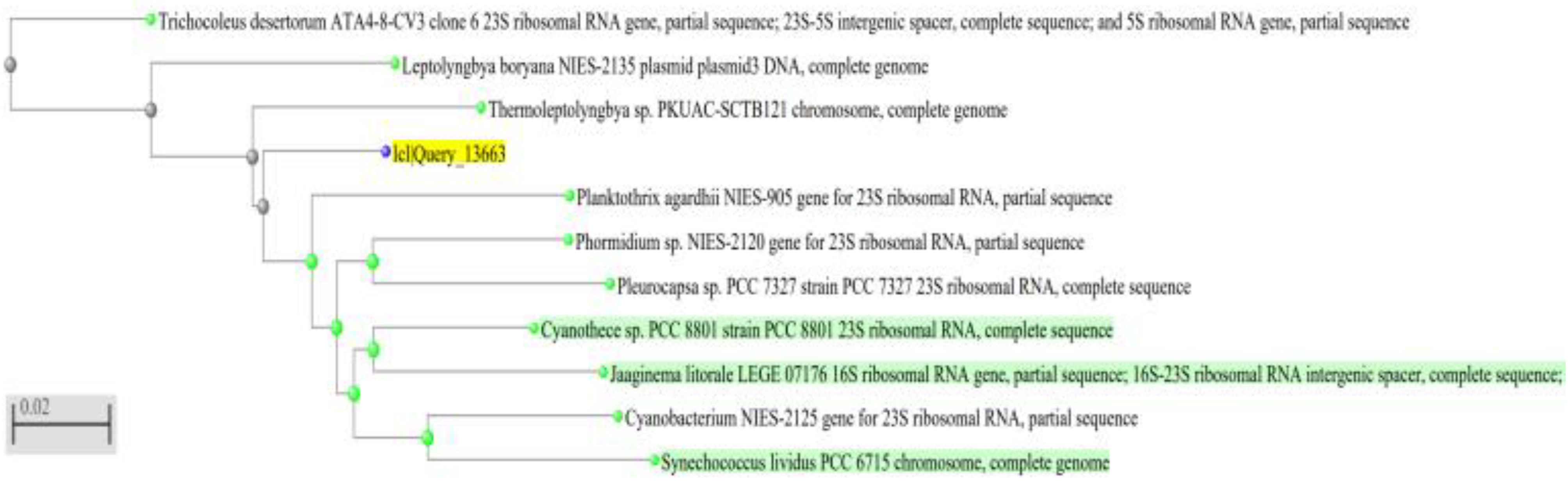 Ijerph 19 13305 g002