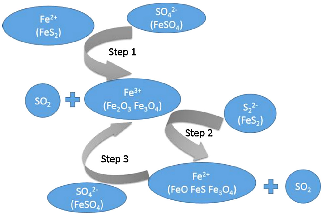Ijerph 19 13951 g004