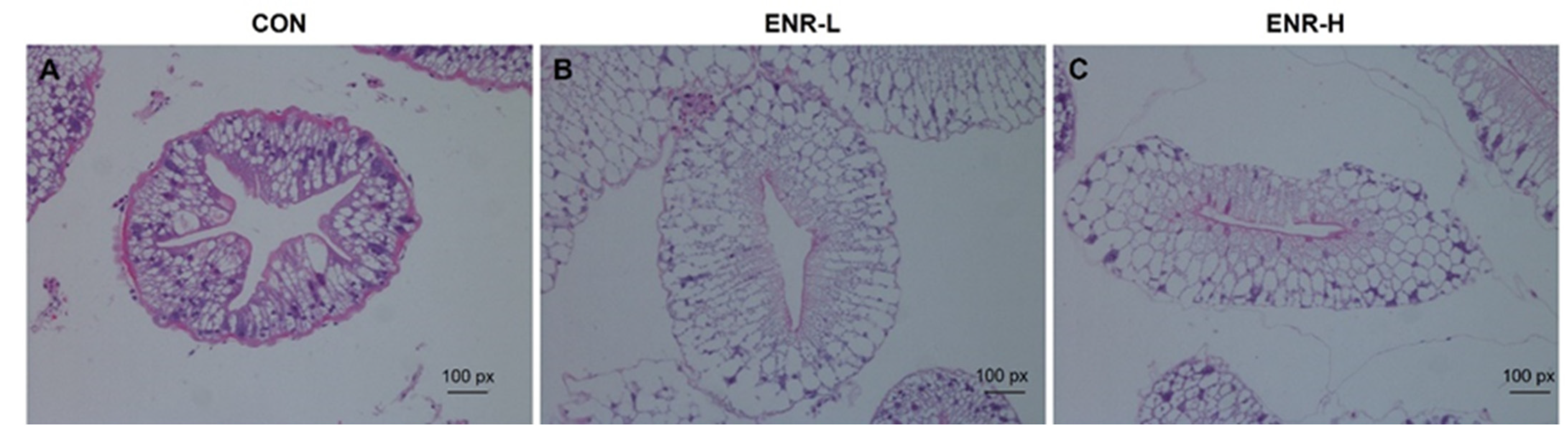 Ijerph 20 01836 g001