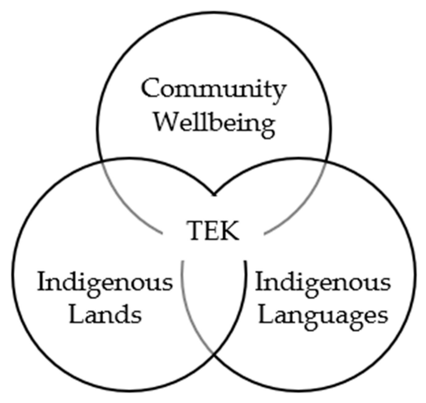 Ijerph 22 01573 g001 Ijerph 22 01573 g001