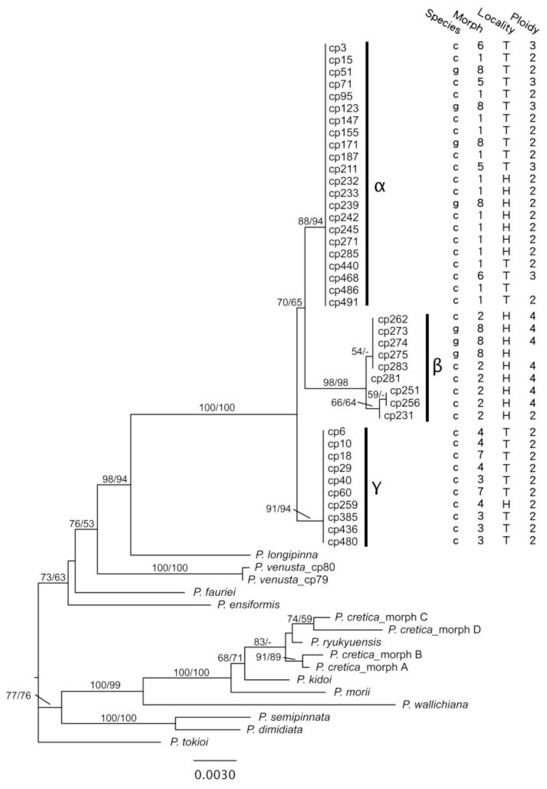 Ijms 13 04523f3