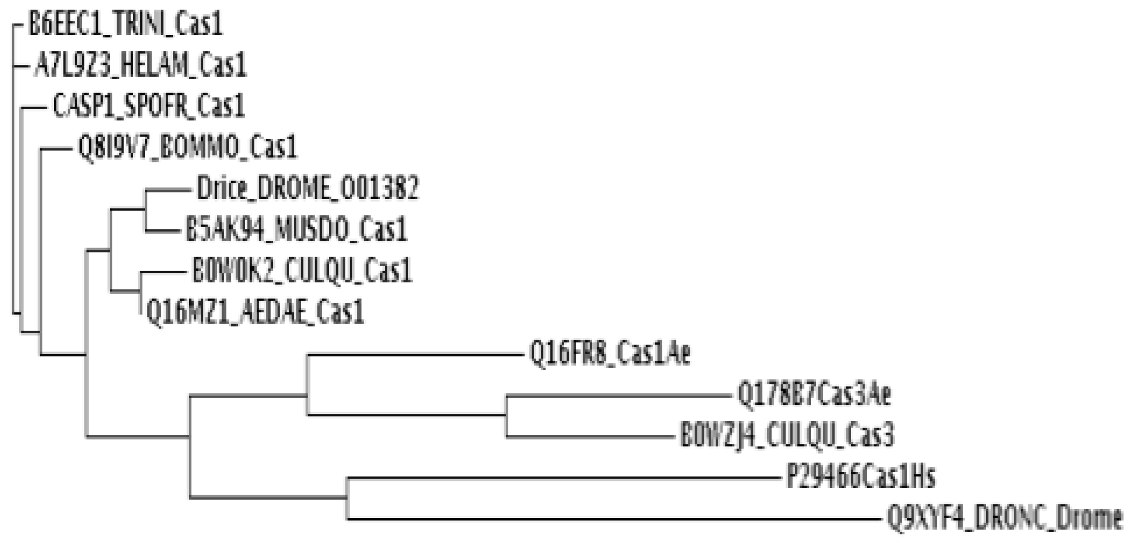 Ijms 14 08467f3