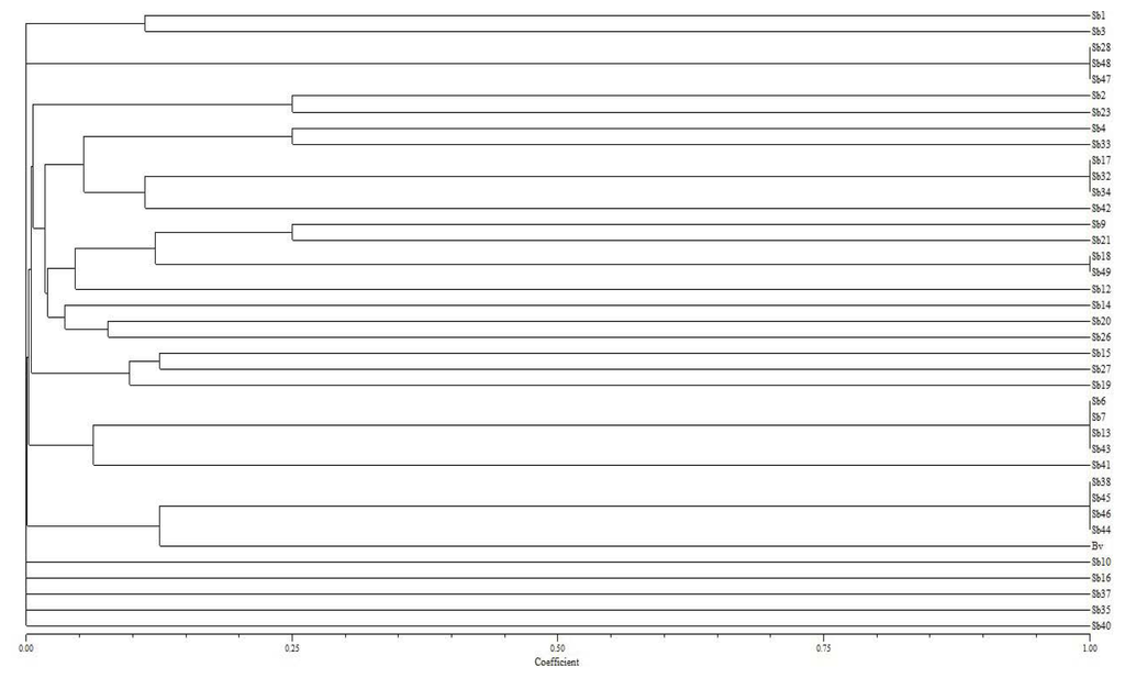 Ijms 14 17812f1 1024