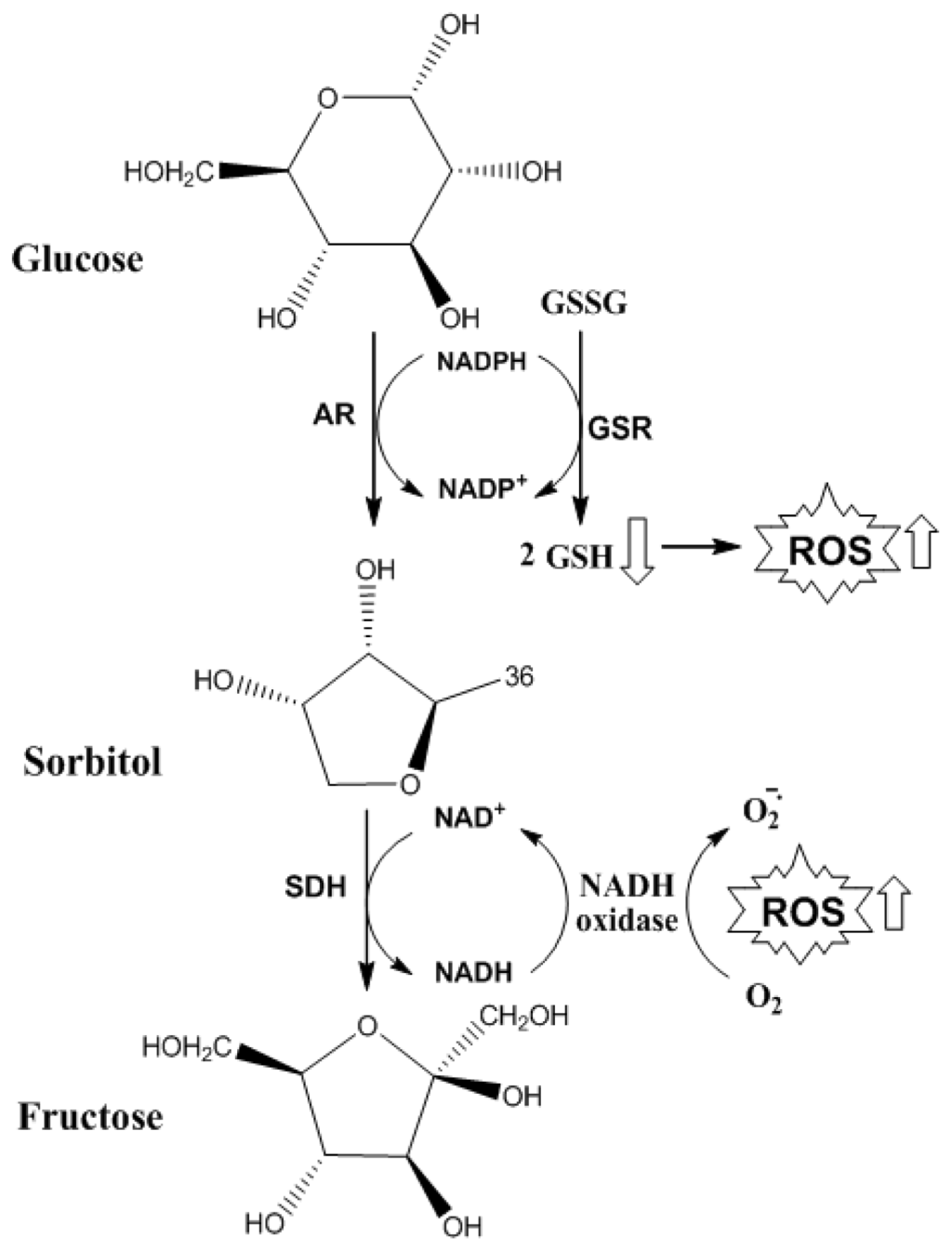 Ijms 14 19846f6 1024