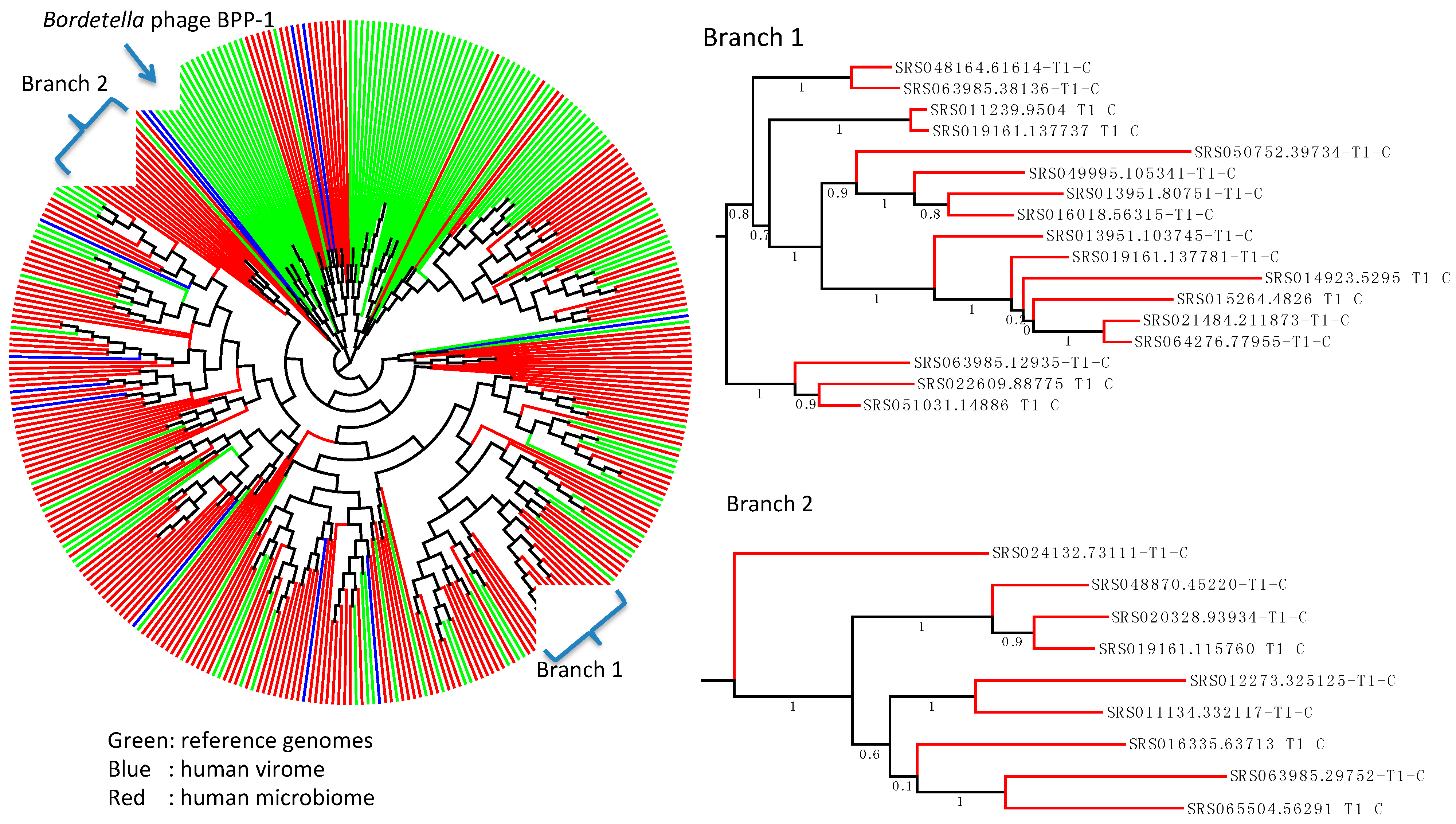 Ijms Free Full Text Identification Of Diversity Generating