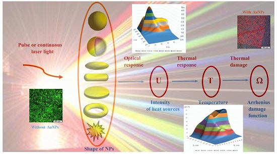 IJMS  Free FullText  Towards Effective Photothermal/Photodynamic