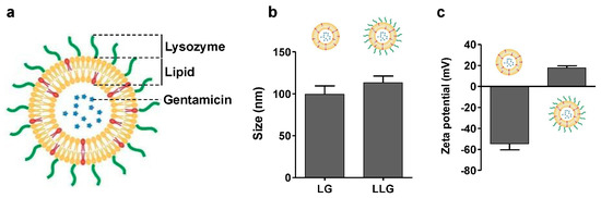 Lysozyme Associated Liposomal Gentamicin Inhibits Bacterial Biofilm Lysozyme Associated Liposomal Gentamicin Inhibits Bacterial Biofilm