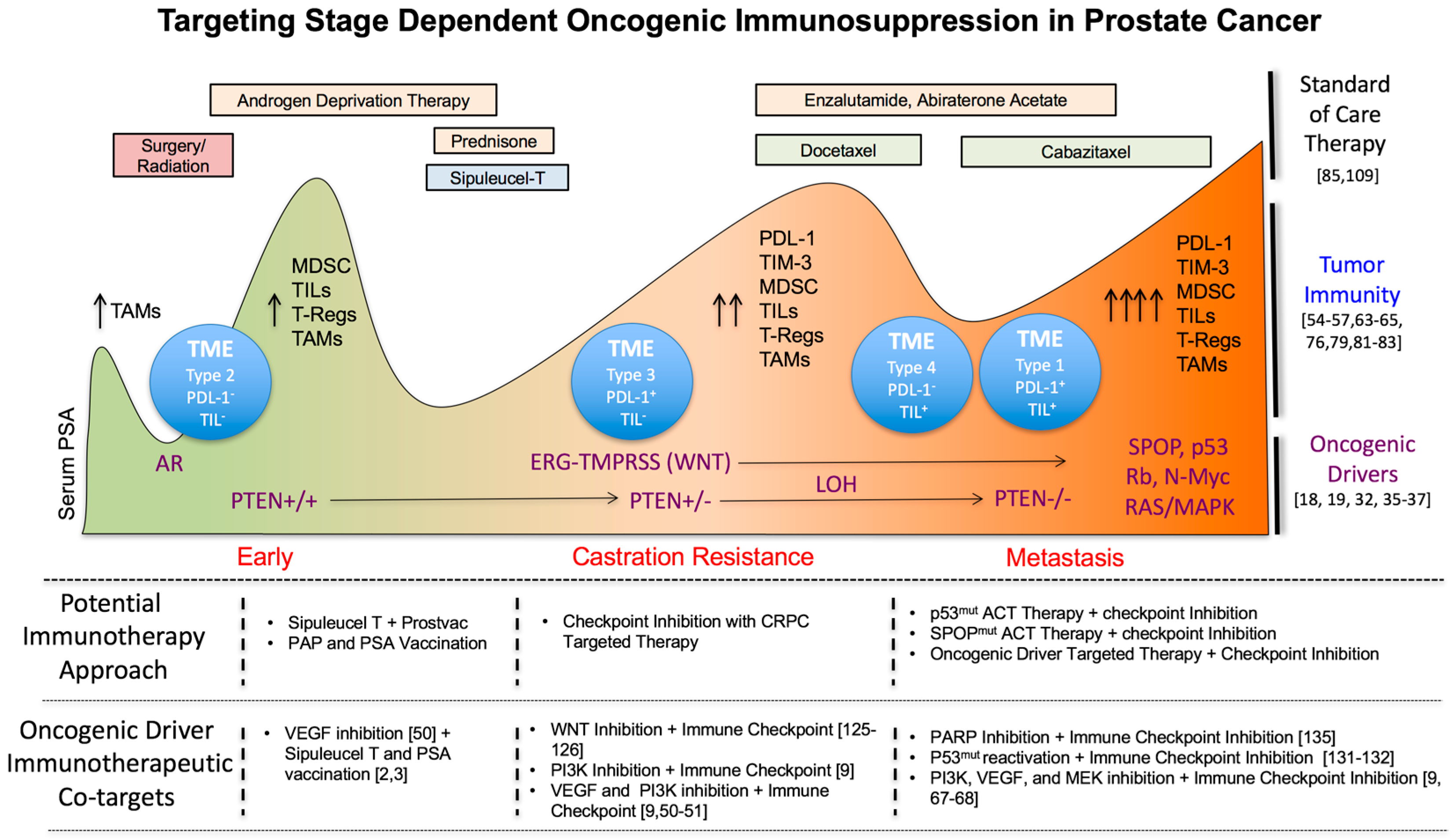 Ijms Free Full Text Overcoming Oncogenic Mediated Tumor Immunity In Prostate Cancer 