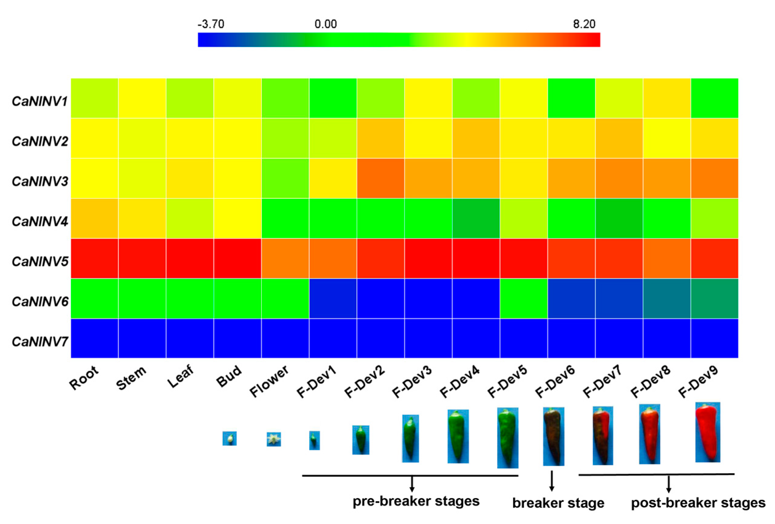 Ijms 19 00224 g008 Ijms 19 00224 g008