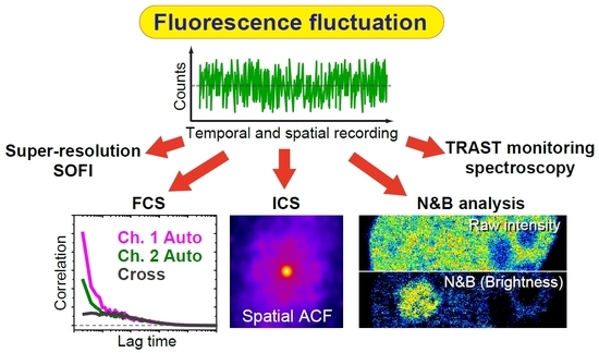 Ijms Free Full Text State Of The Art Fluorescence Fluctuation Based