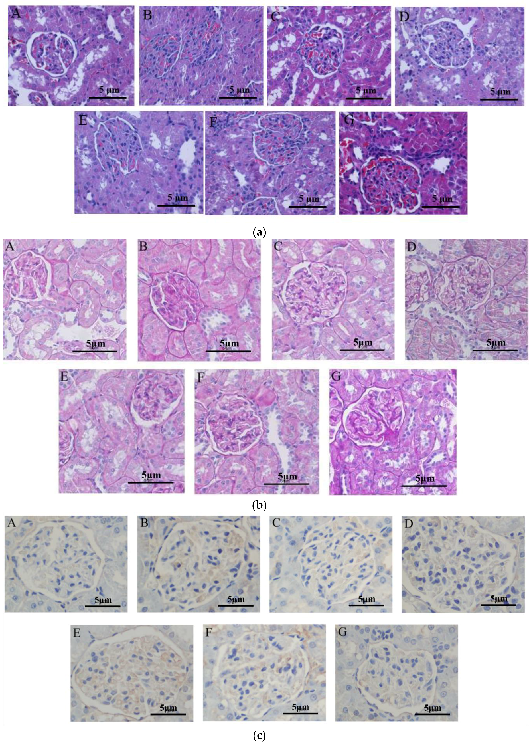 Ijms 19 01599 g005 Ijms 19 01599 g005