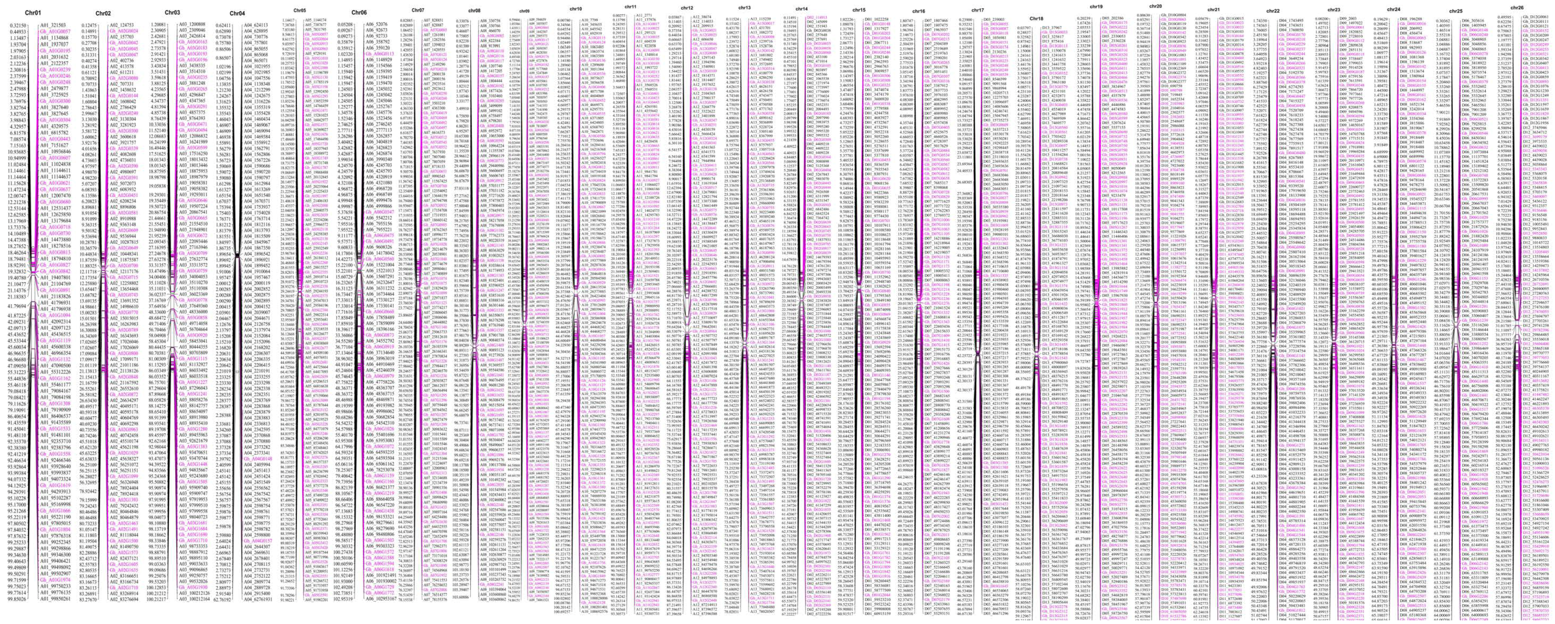Ijms 19 01614 g005 Ijms 19 01614 g005