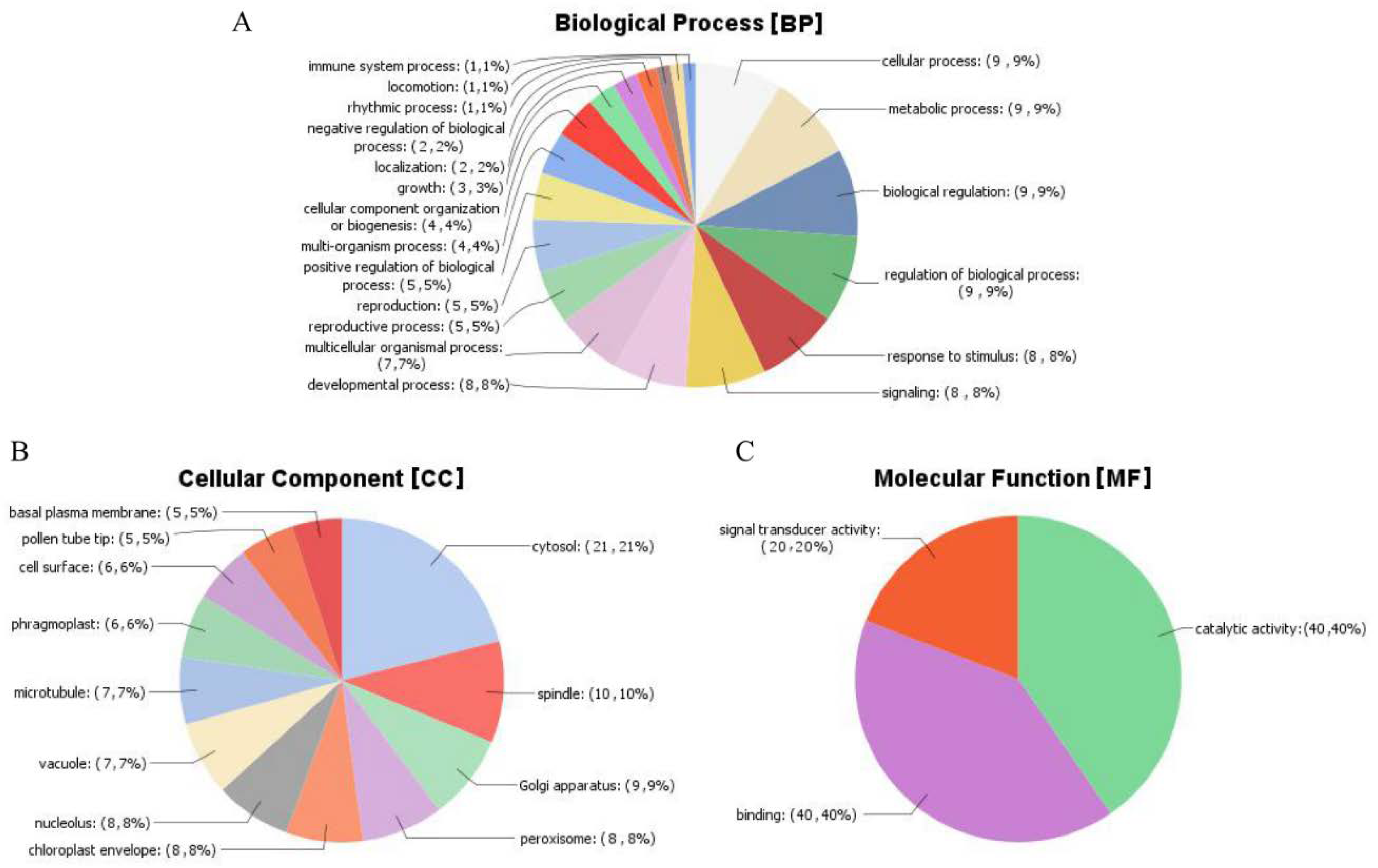 Ijms 19 01614 g007 Ijms 19 01614 g007