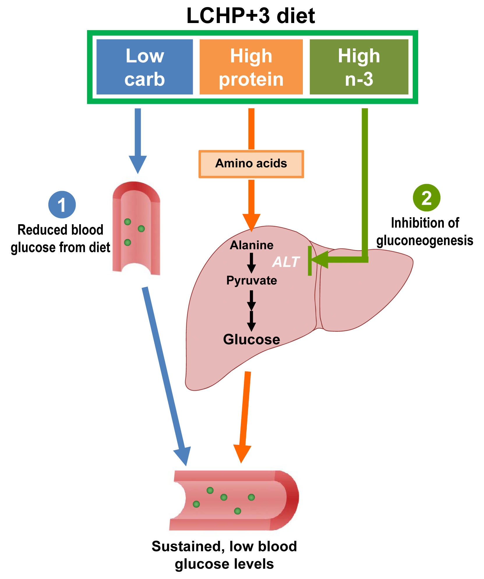 IJMS | Free Full-Text | Suppression of Postprandial Blood Glucose