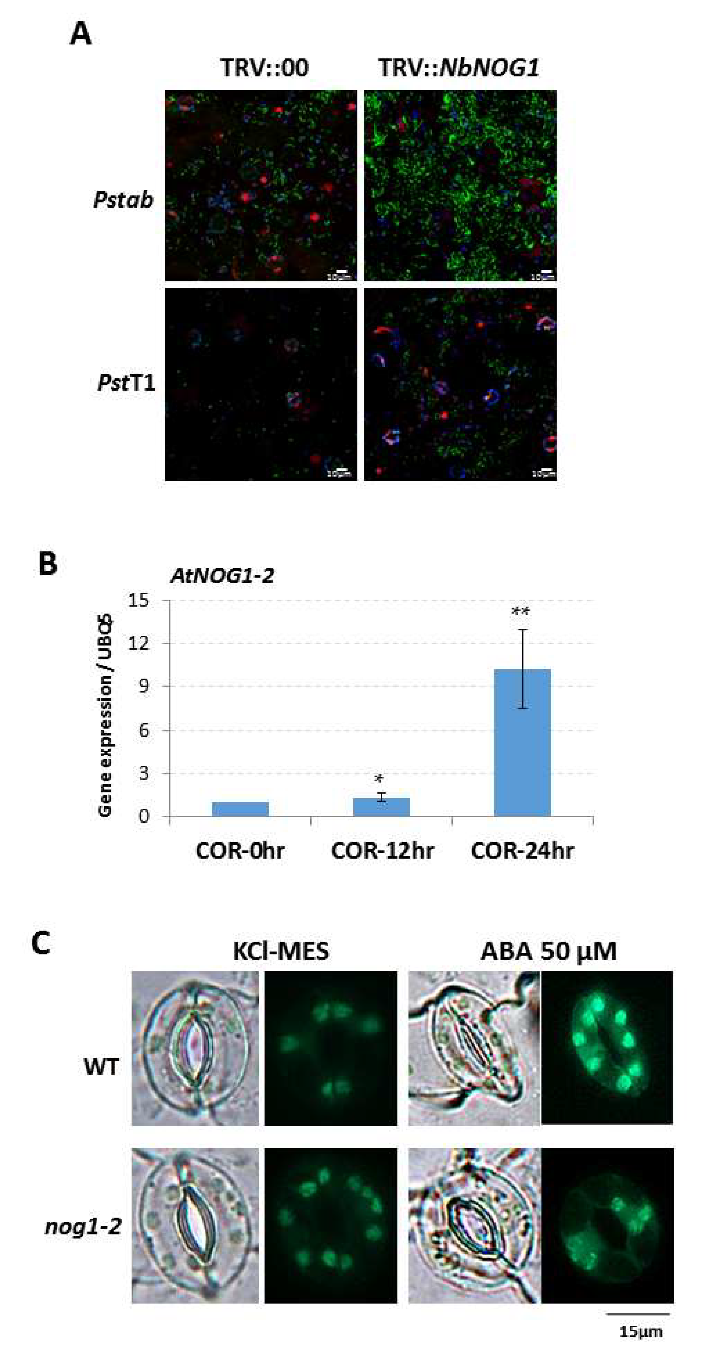 Ijms 19 01922 g001 Ijms 19 01922 g001