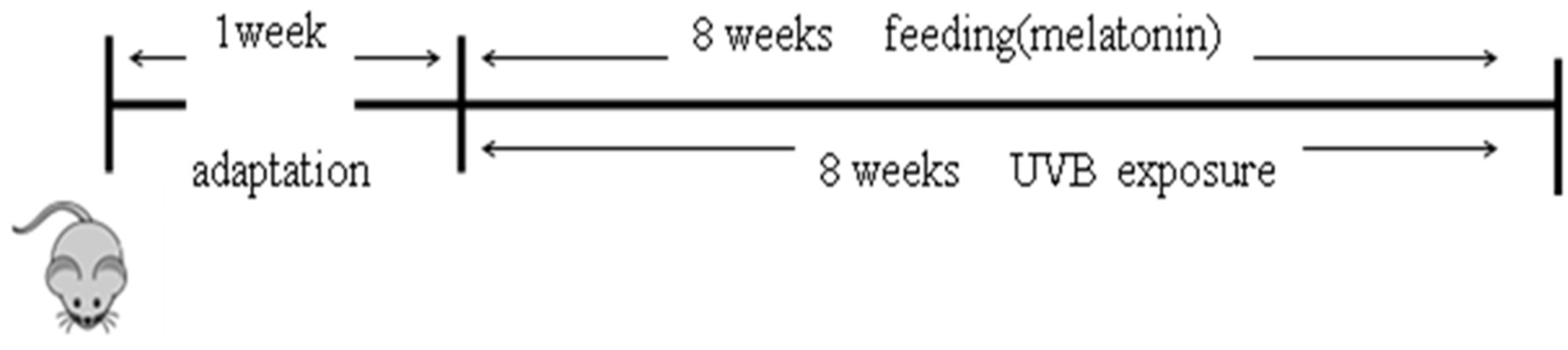 Ijms 19 01995 g006 Ijms 19 01995 g006