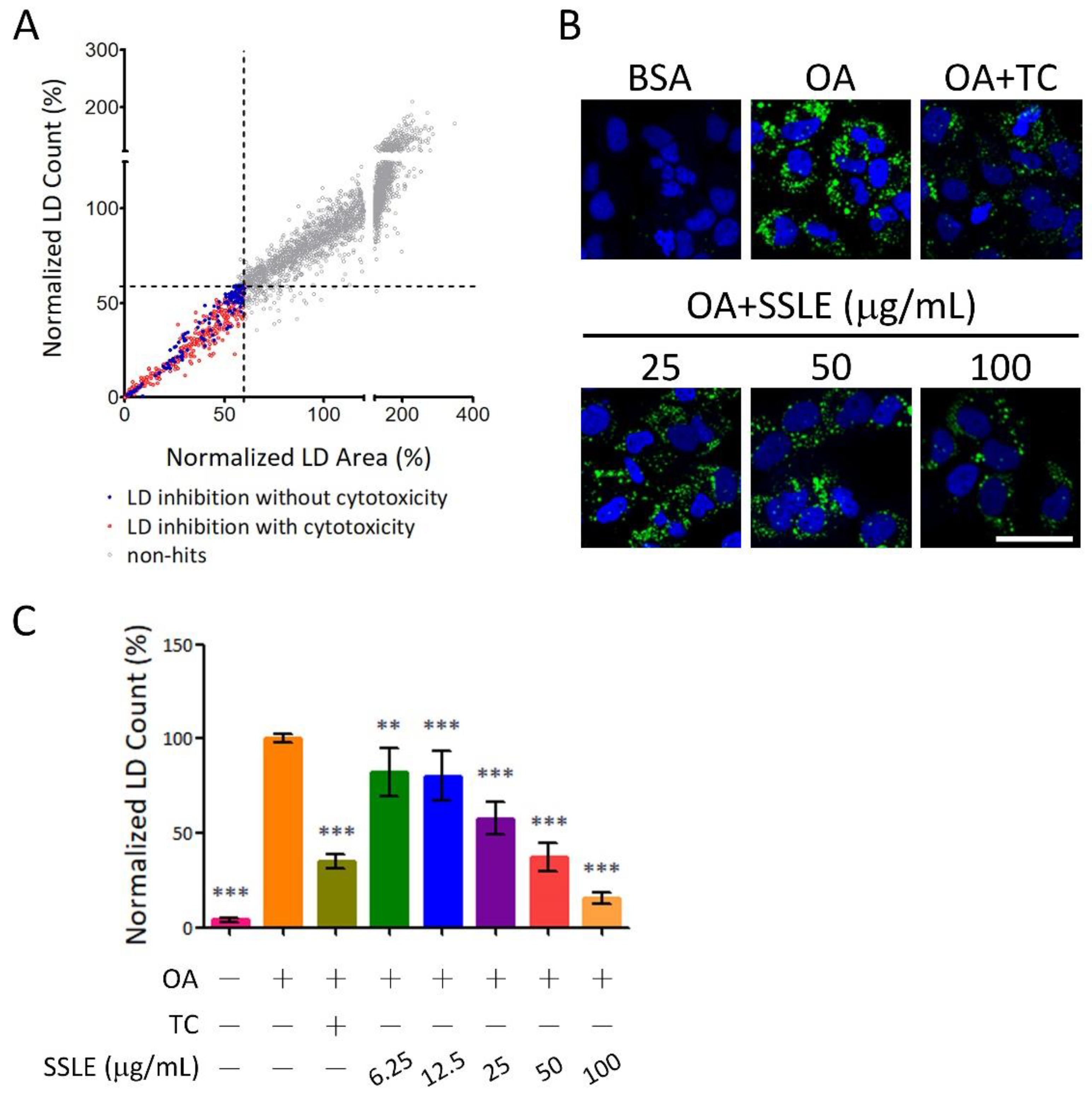 Ijms 19 02130 g002 Ijms 19 02130 g002