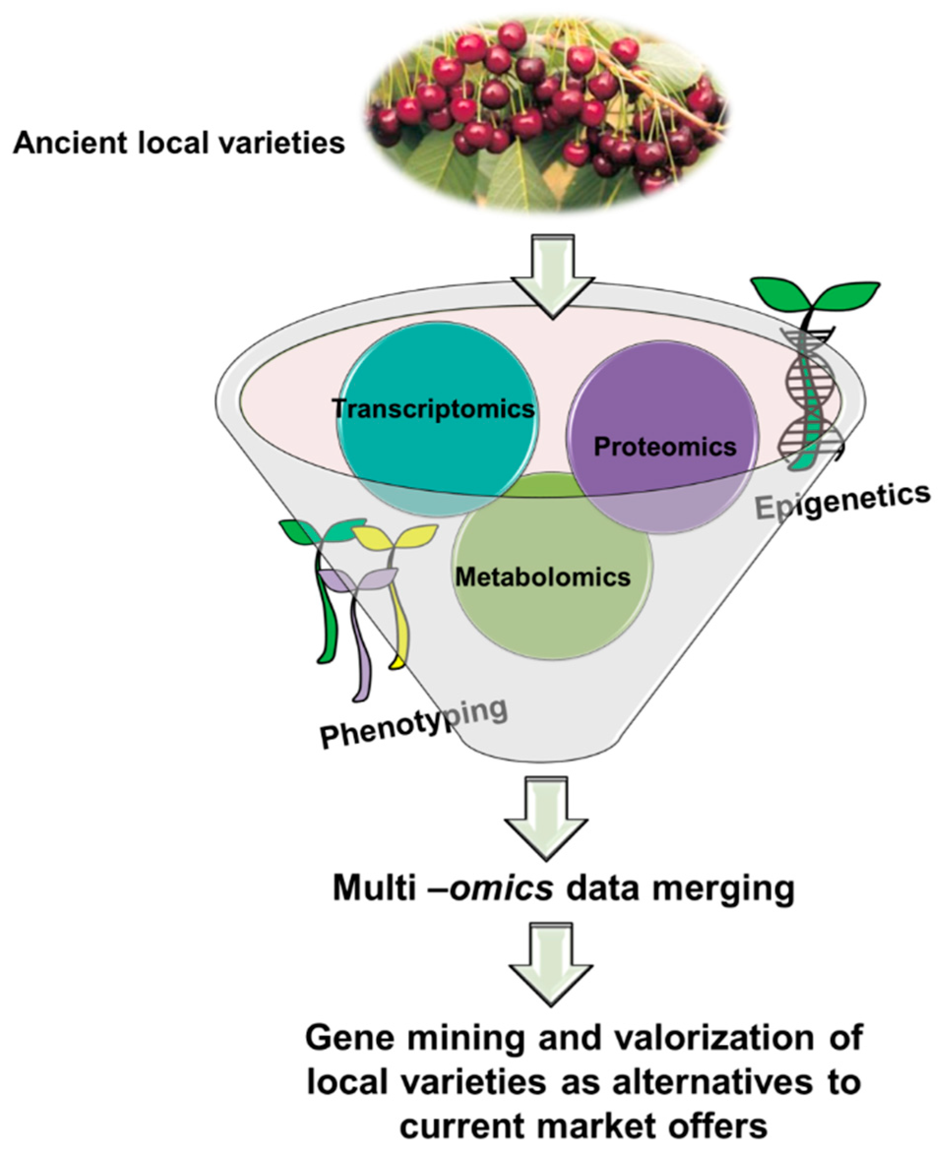 Ijms 19 02248 g001 Ijms 19 02248 g001