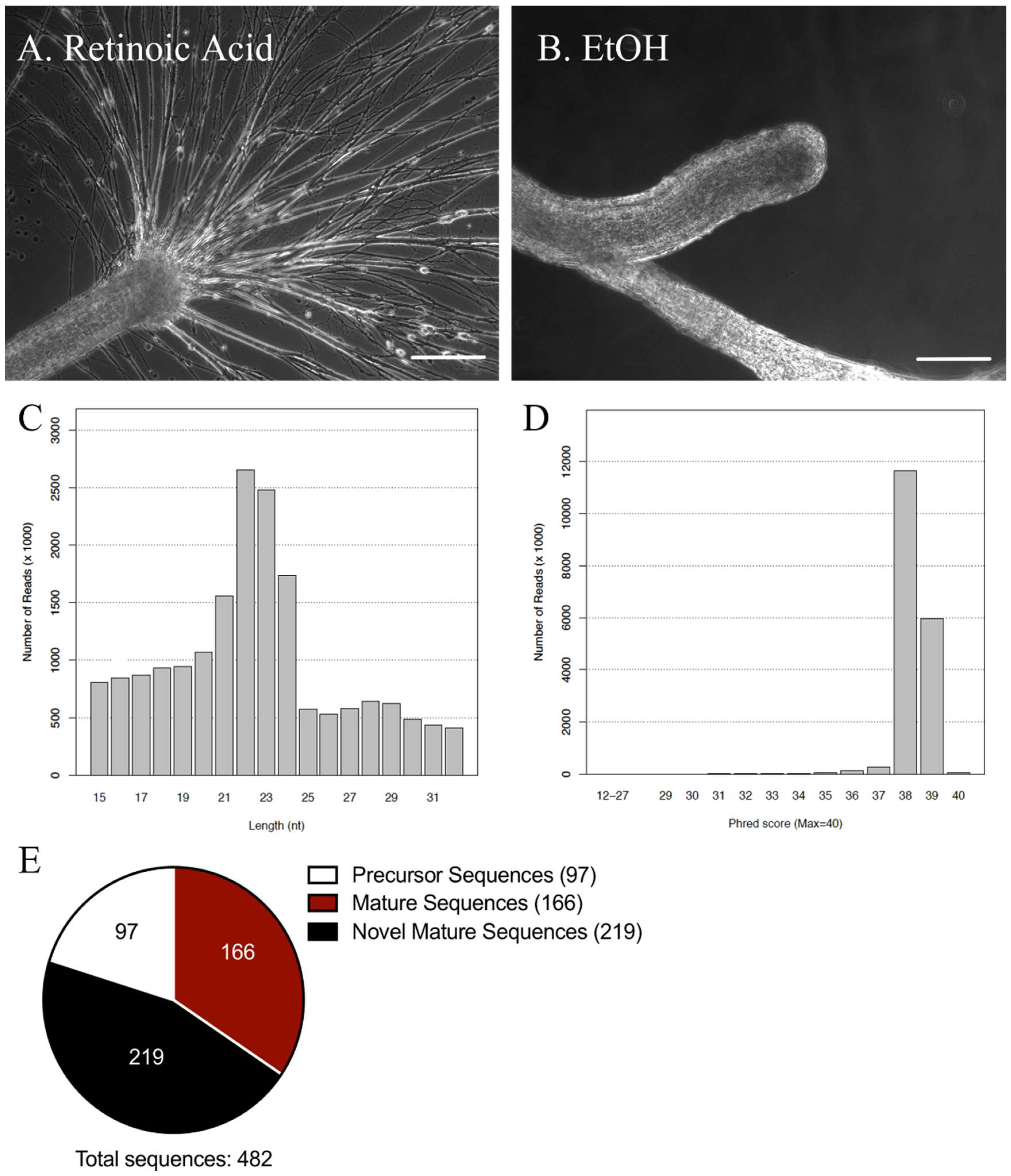 Ijms 19 02741 g001 Ijms 19 02741 g001