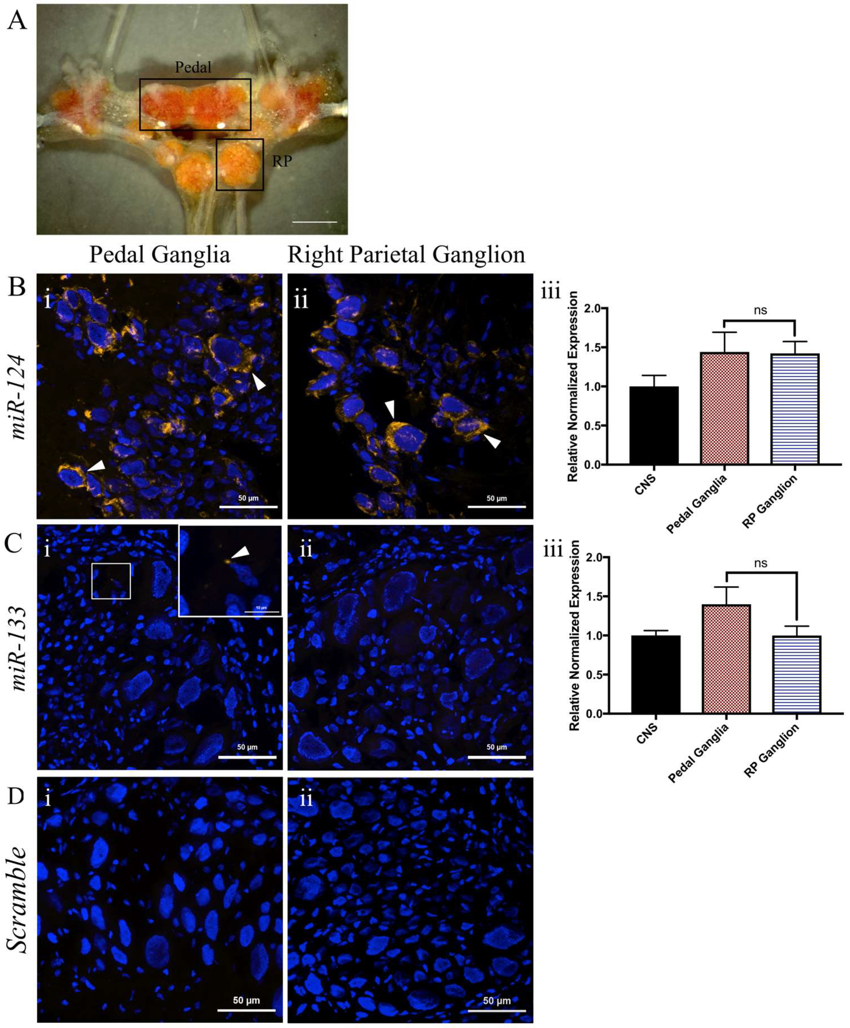 Ijms 19 02741 g004 Ijms 19 02741 g004