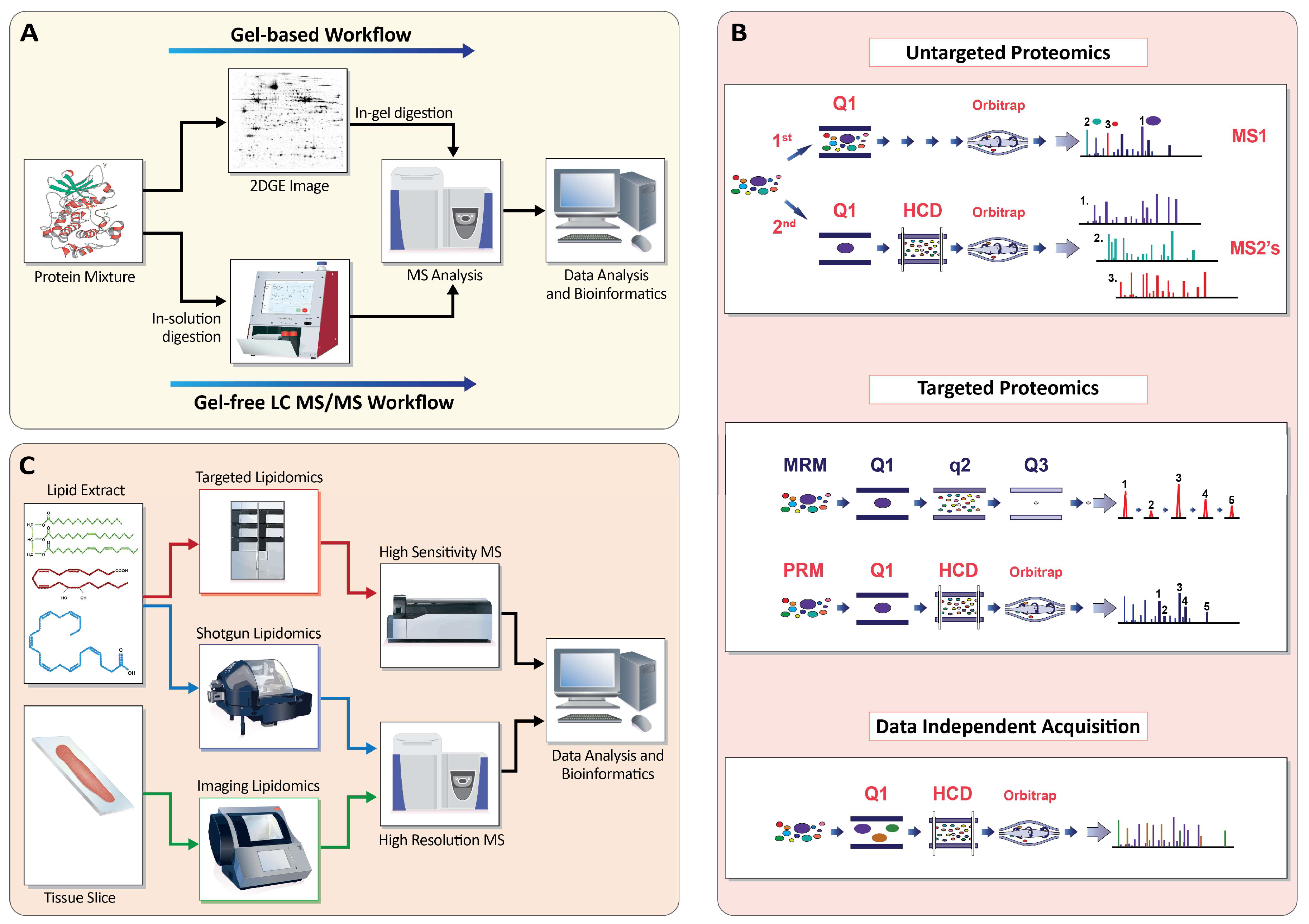 Ijms Free Full Text Proteomics And Lipidomics In Inflammatory Bowel Disease Research From 2958