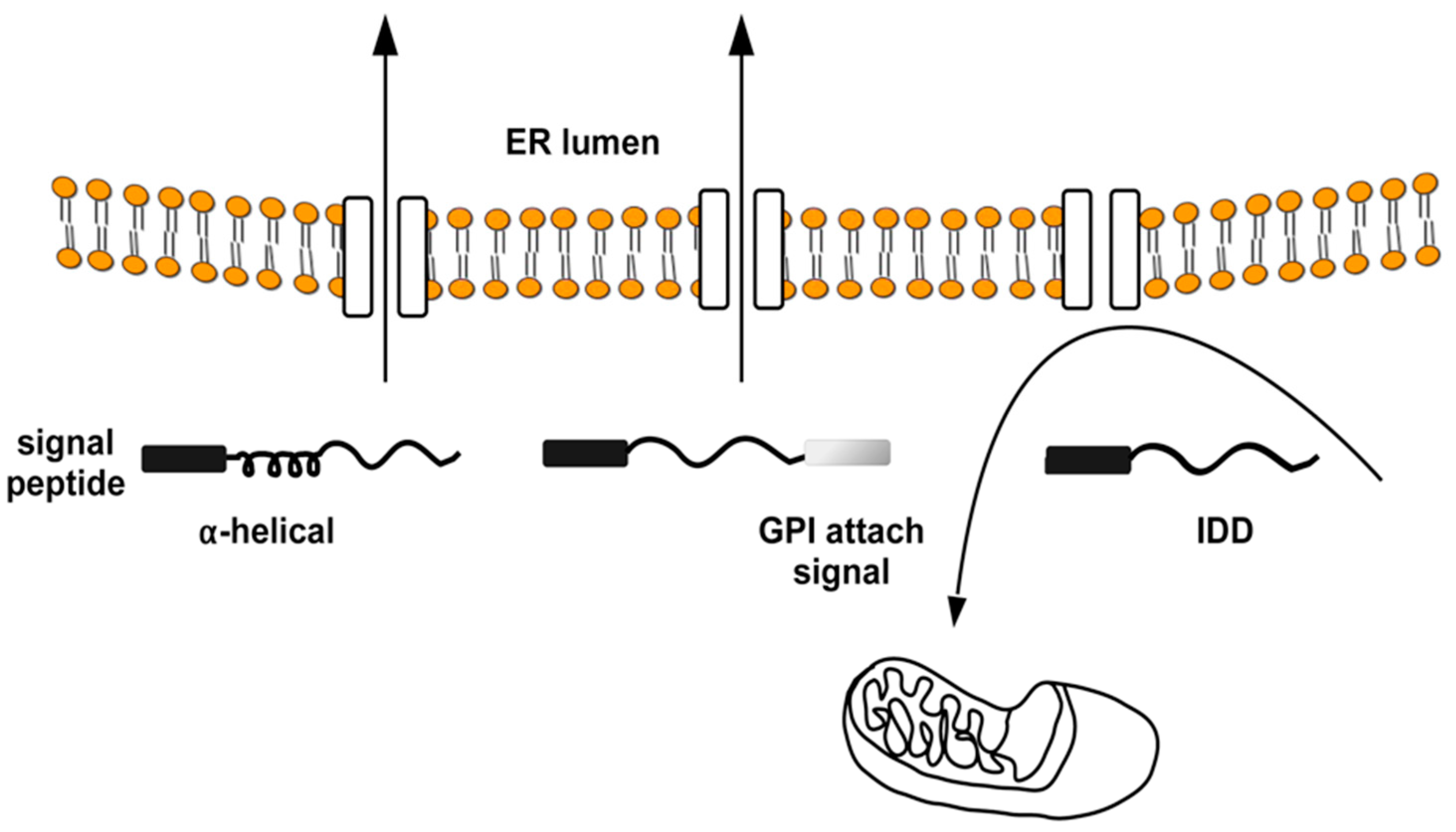 Ijms 19 03081 g003 Ijms 19 03081 g003