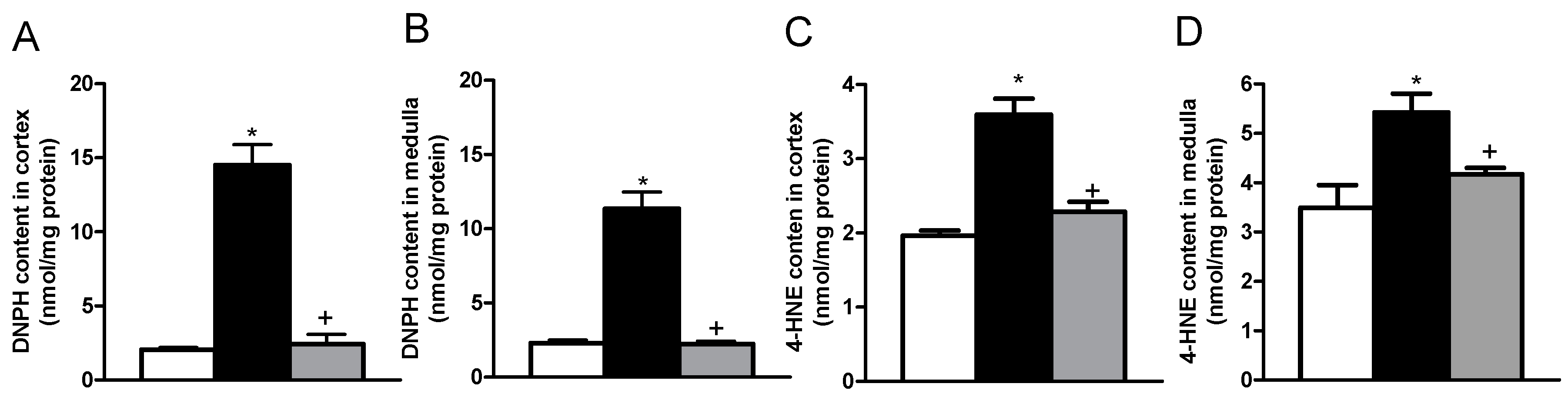 Ijms Free Full Text Immunomodulatory Effects Of The Nutraceutical