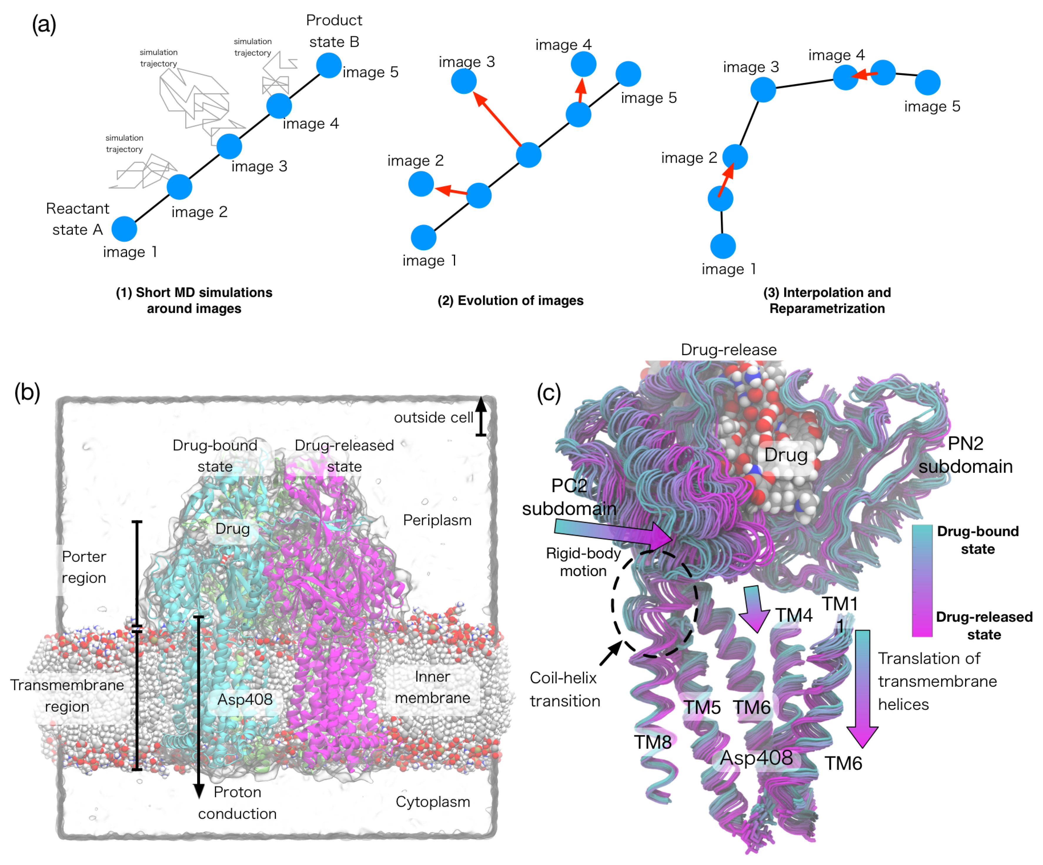 Ijms 19 03177 g002 Ijms 19 03177 g002