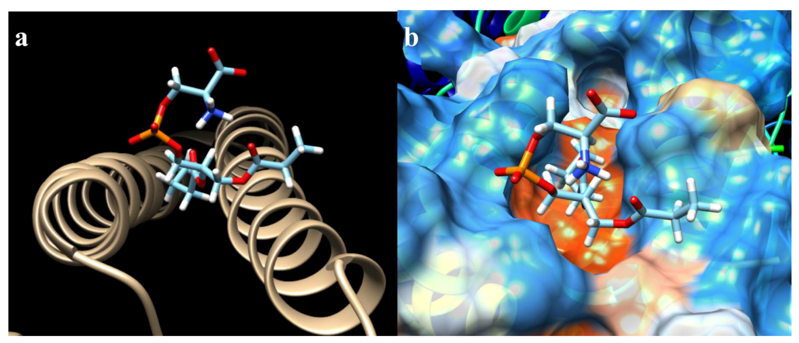 Ijms 19 03273 g003 Ijms 19 03273 g003