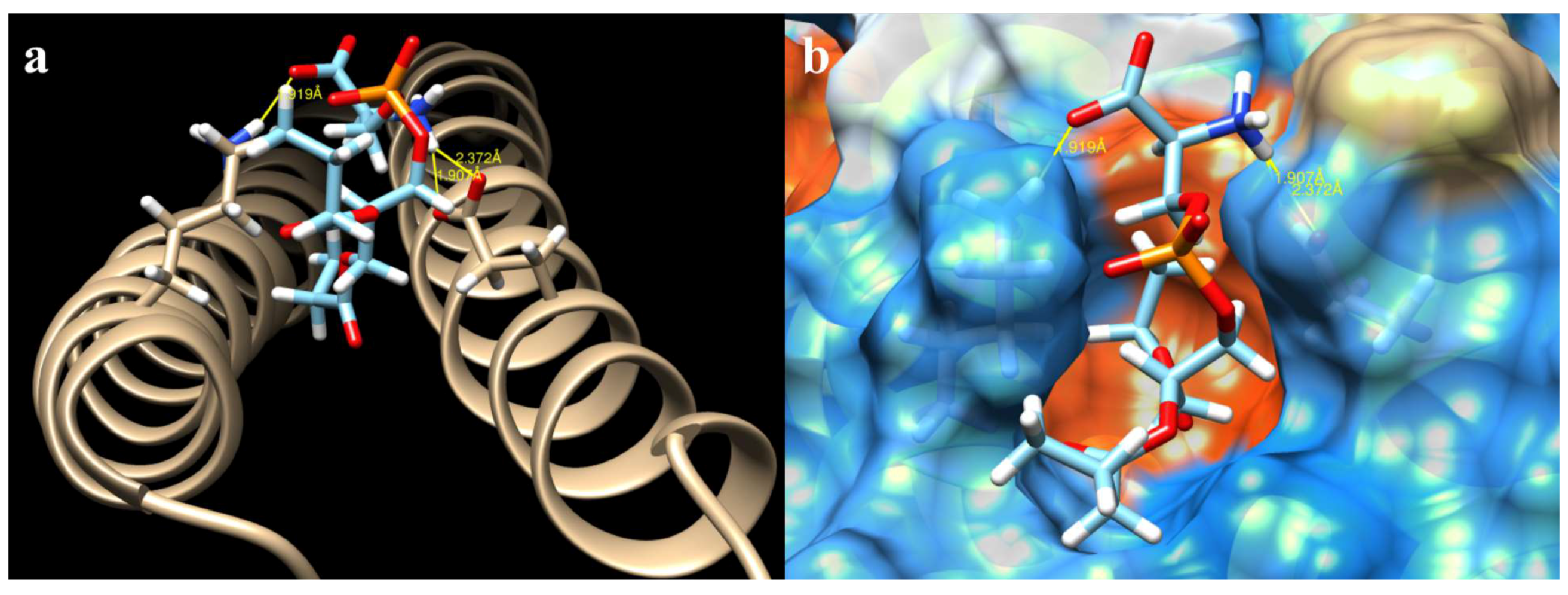 Ijms 19 03273 g004 Ijms 19 03273 g004