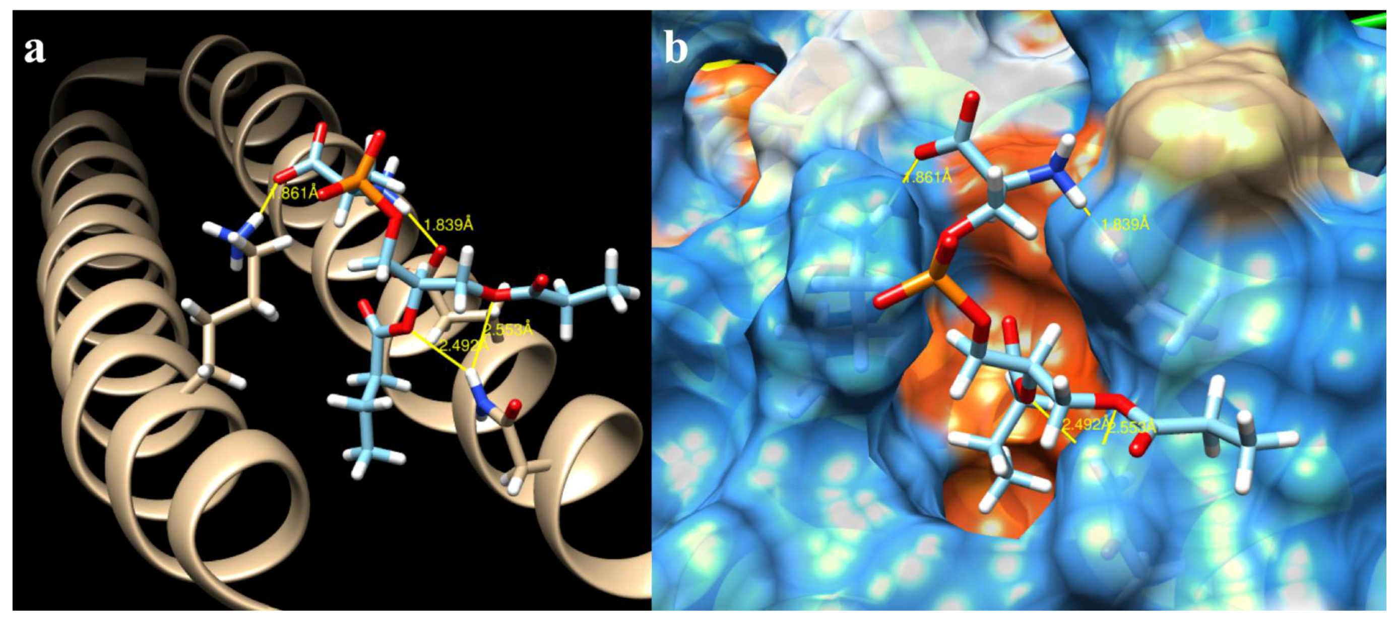 Ijms 19 03273 g005 Ijms 19 03273 g005