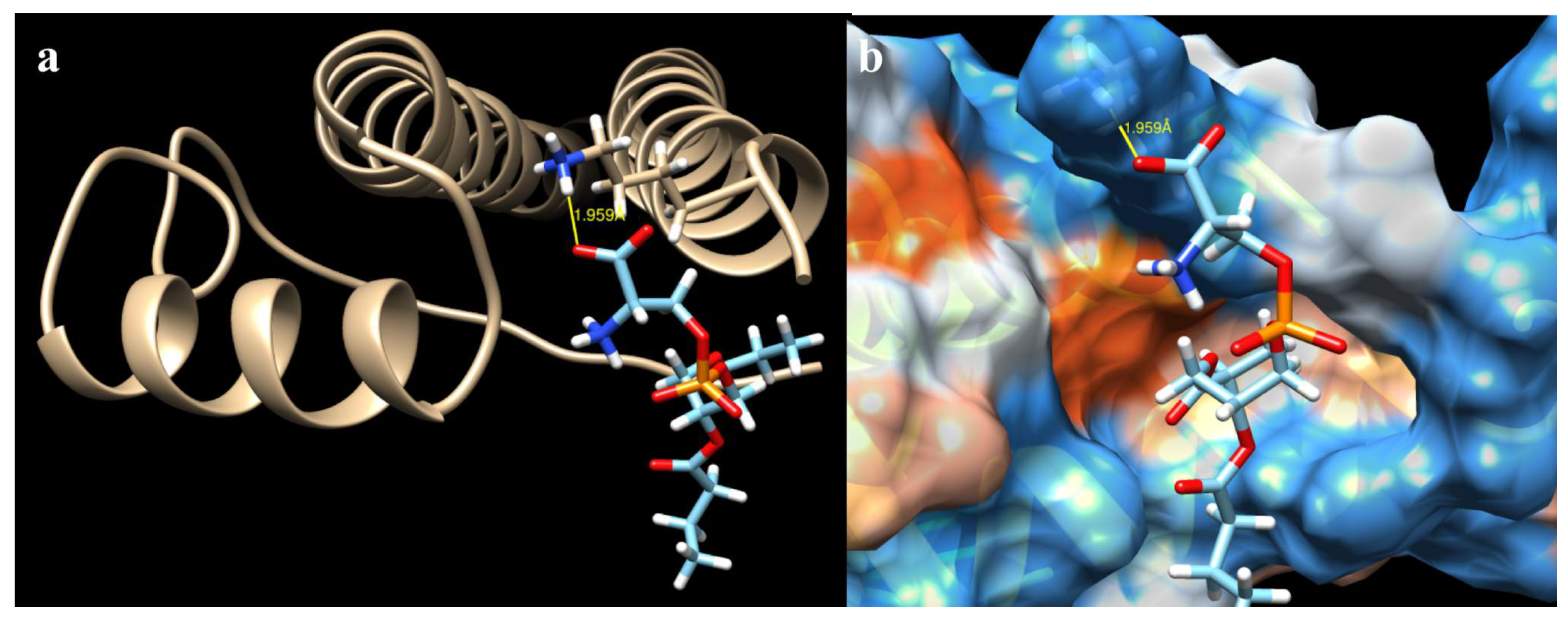 Ijms 19 03273 g006 Ijms 19 03273 g006