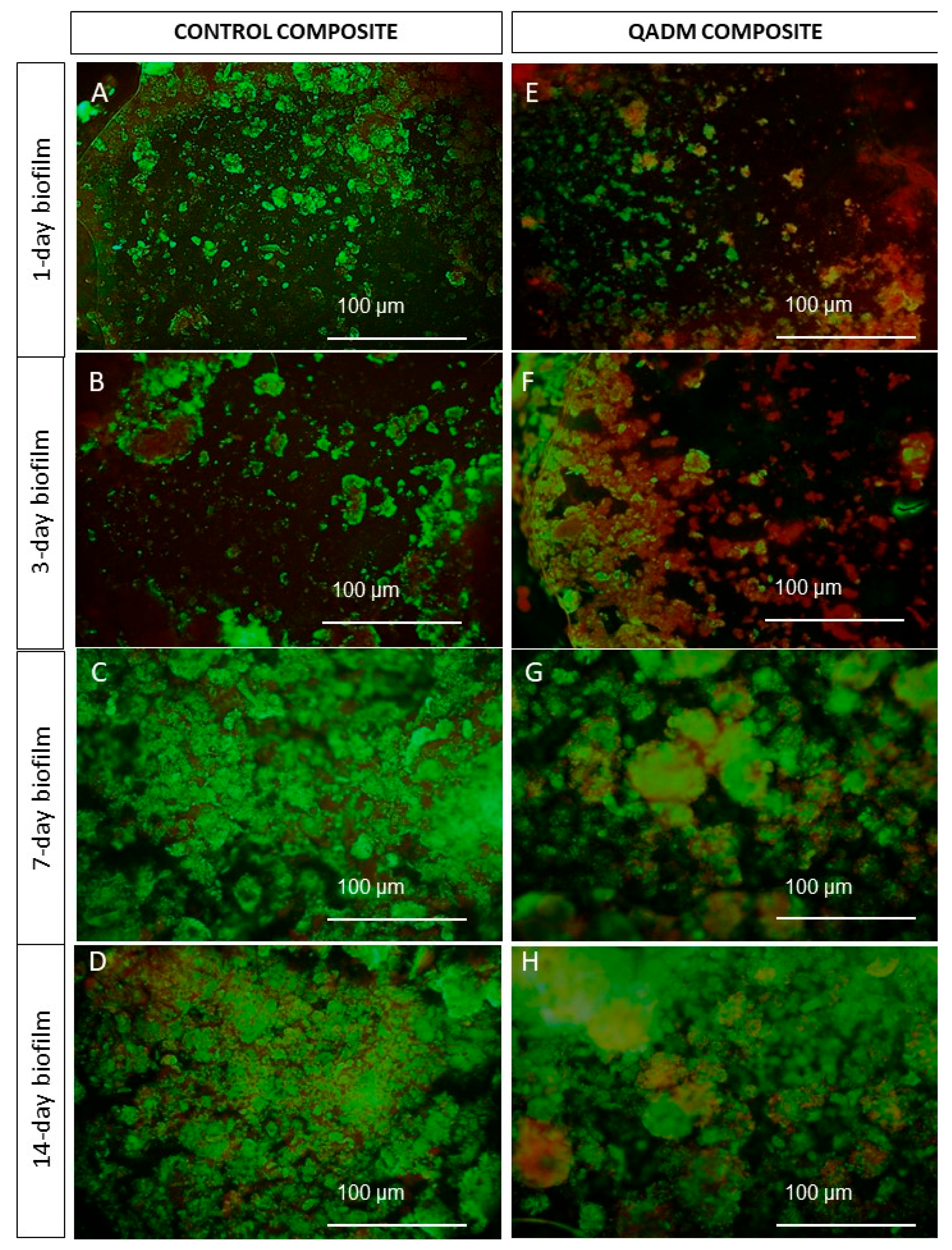Ijms 19 03443 g003 Ijms 19 03443 g003
