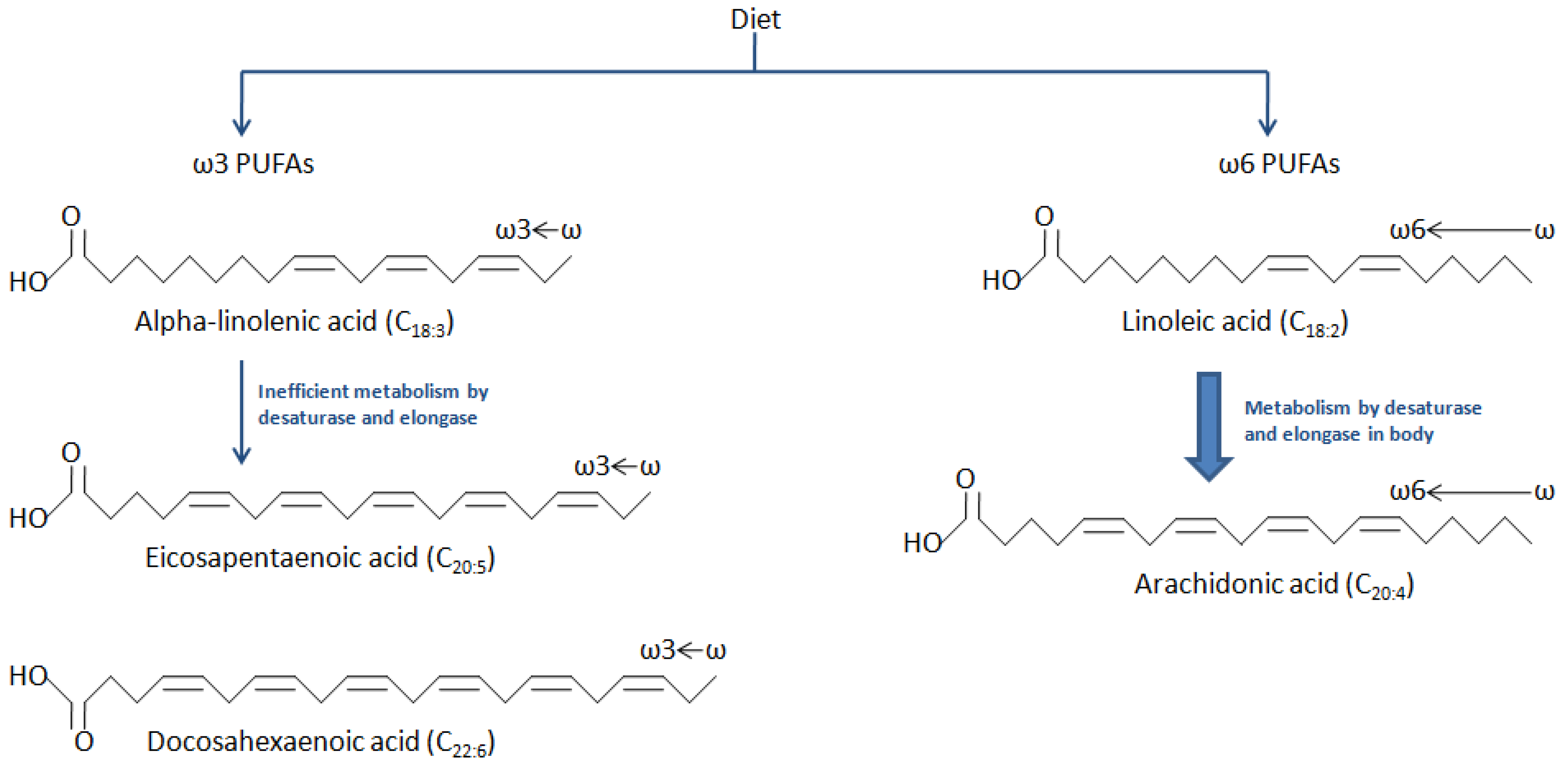 Ijms 19 03703 g001 Ijms 19 03703 g001