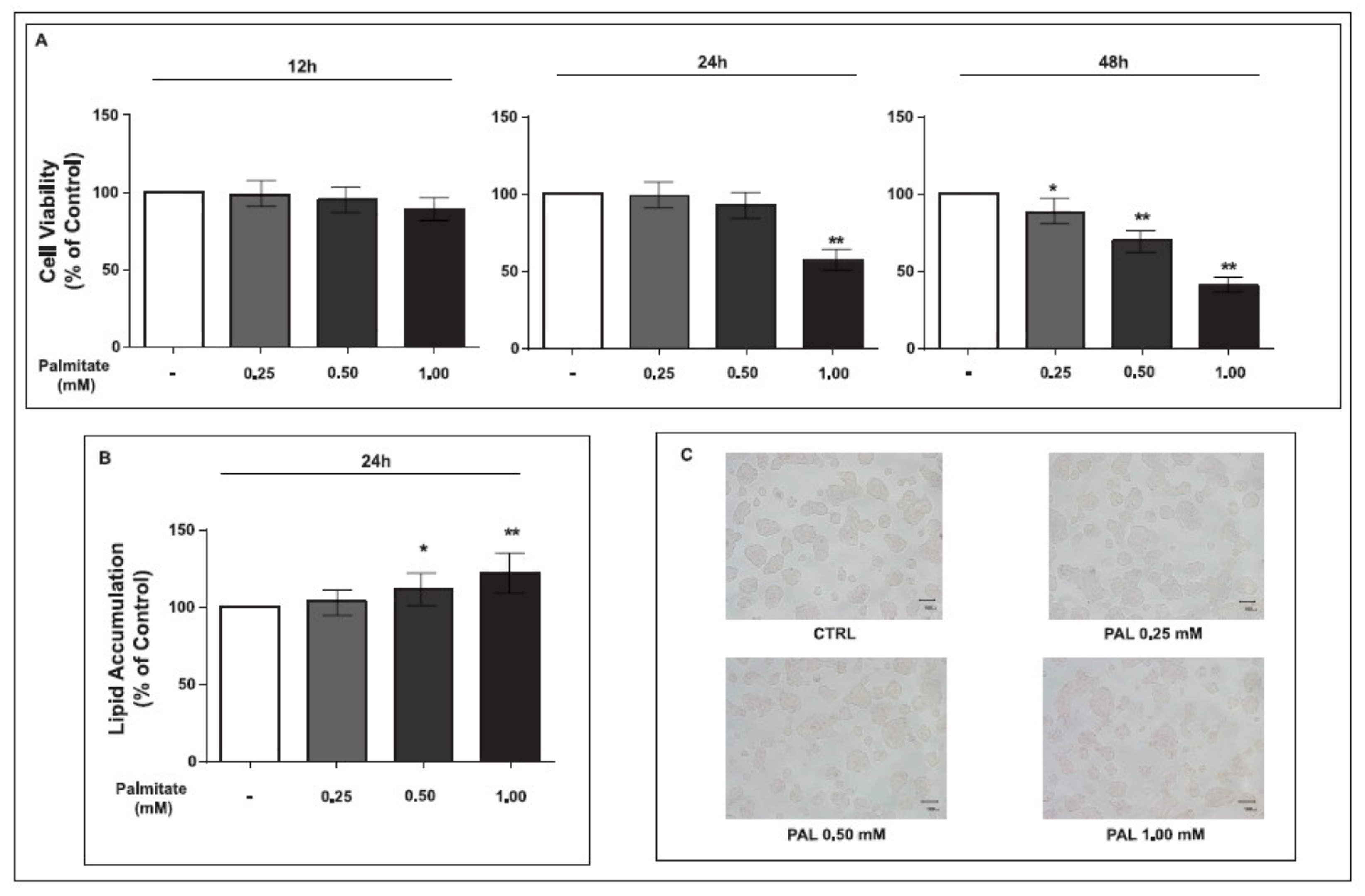 Ijms 19 03791 g001 Ijms 19 03791 g001
