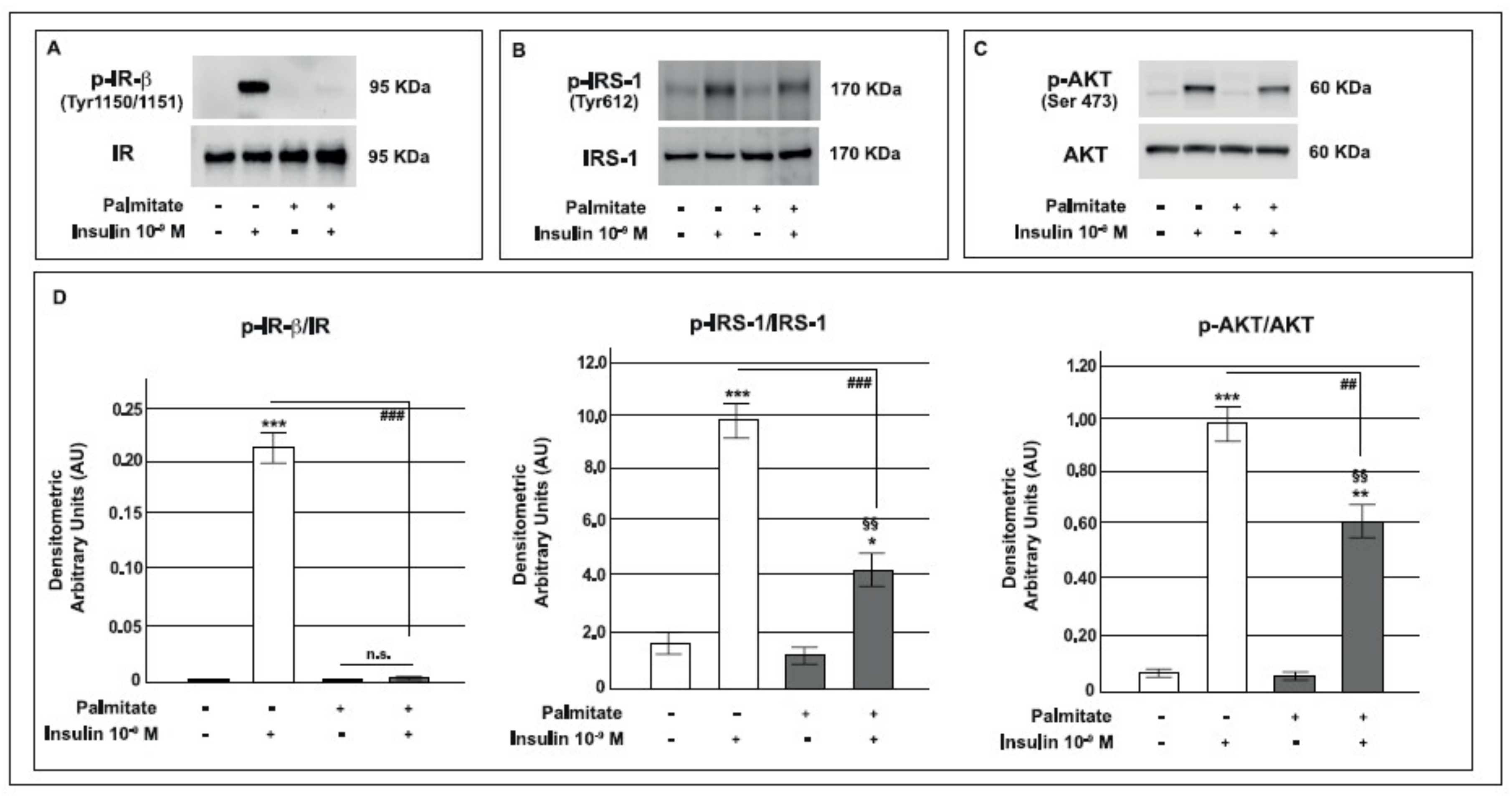 Ijms 19 03791 g003 Ijms 19 03791 g003