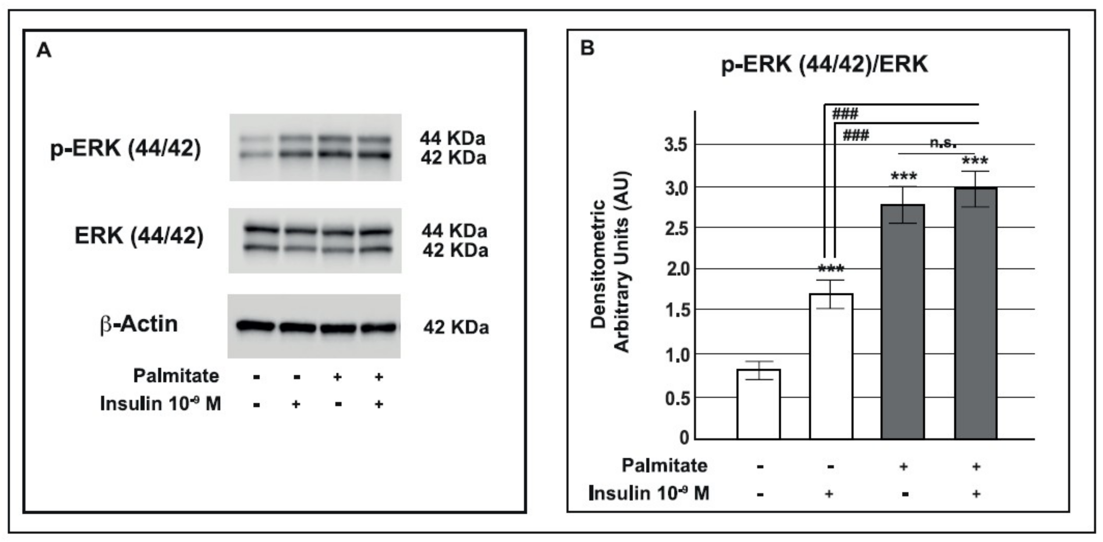 Ijms 19 03791 g004 Ijms 19 03791 g004