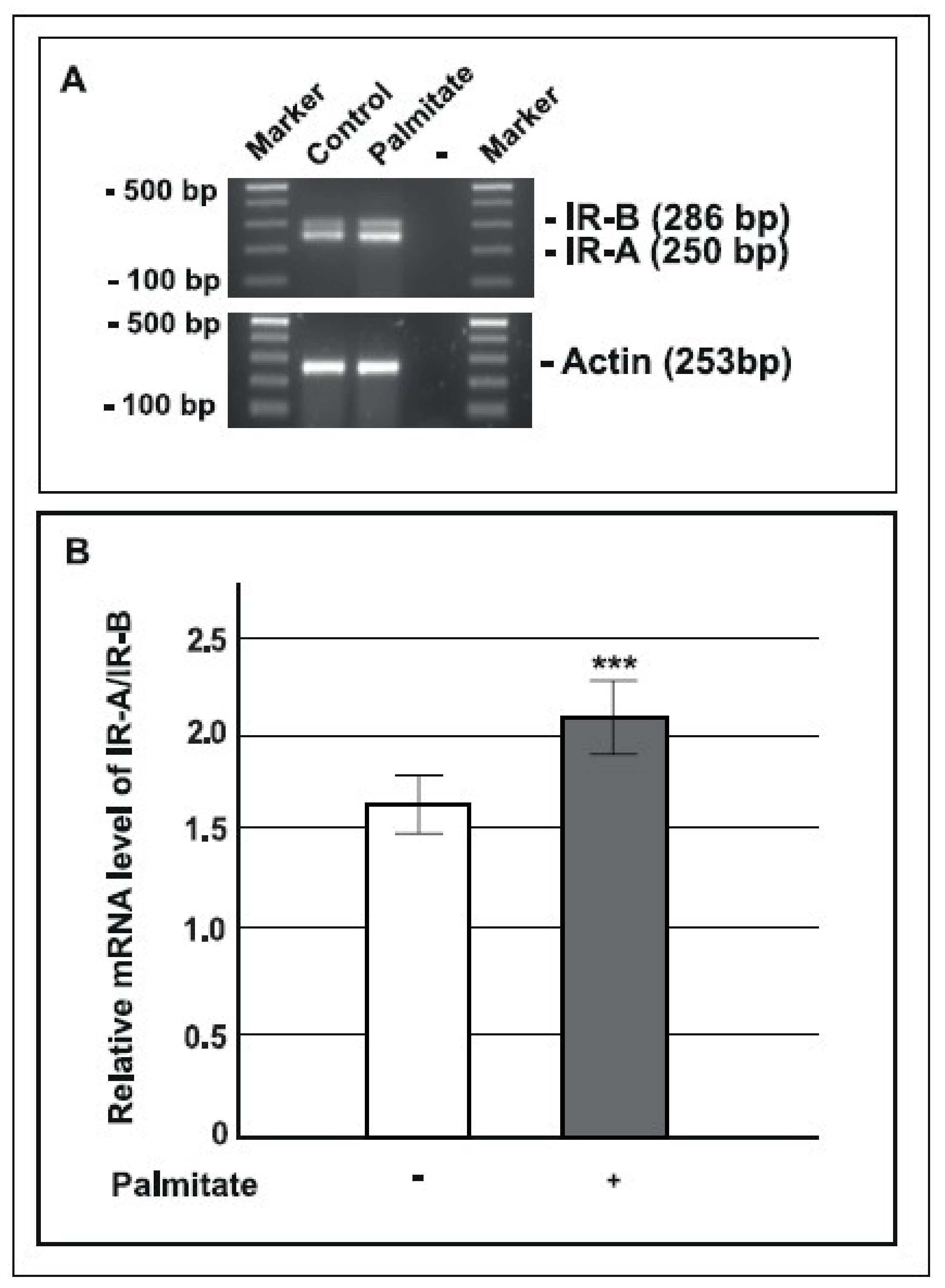 Ijms 19 03791 g005 Ijms 19 03791 g005