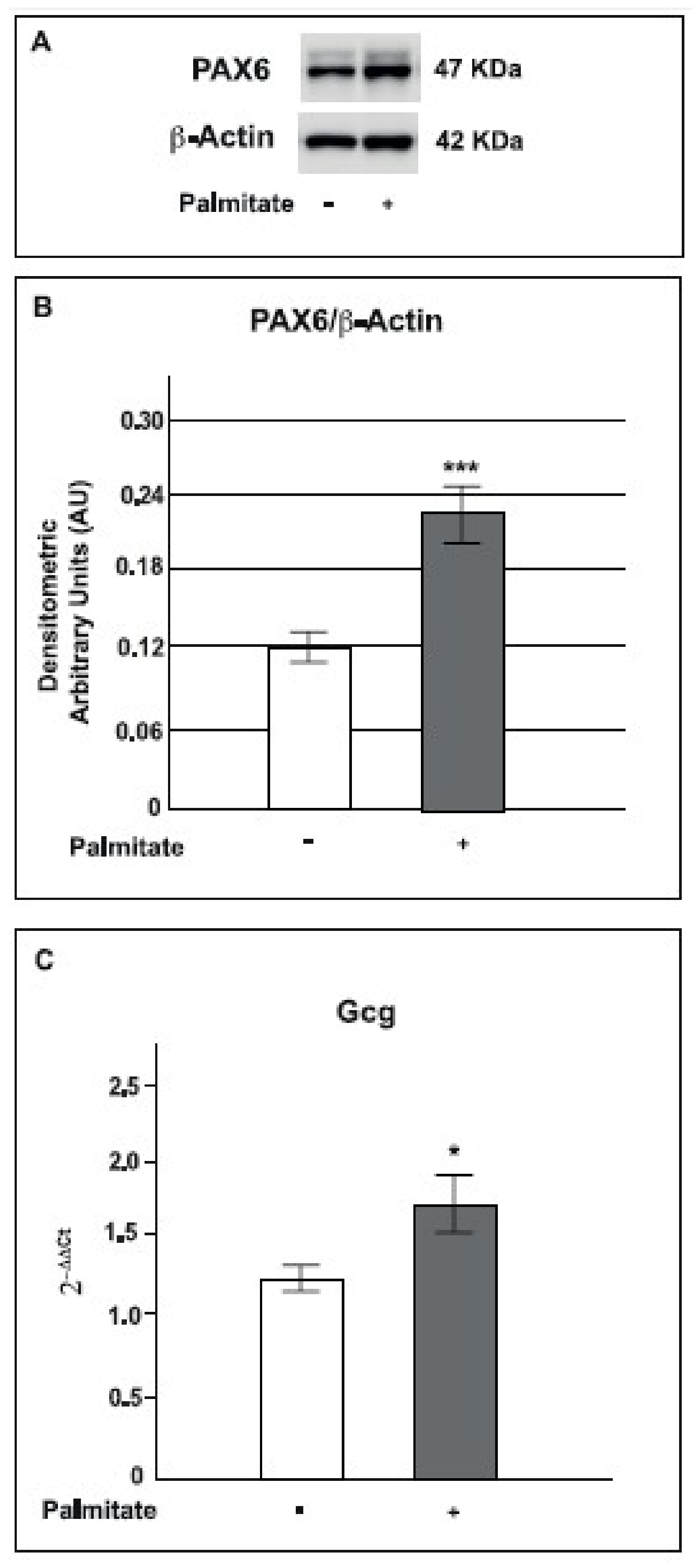 Ijms 19 03791 g006 Ijms 19 03791 g006