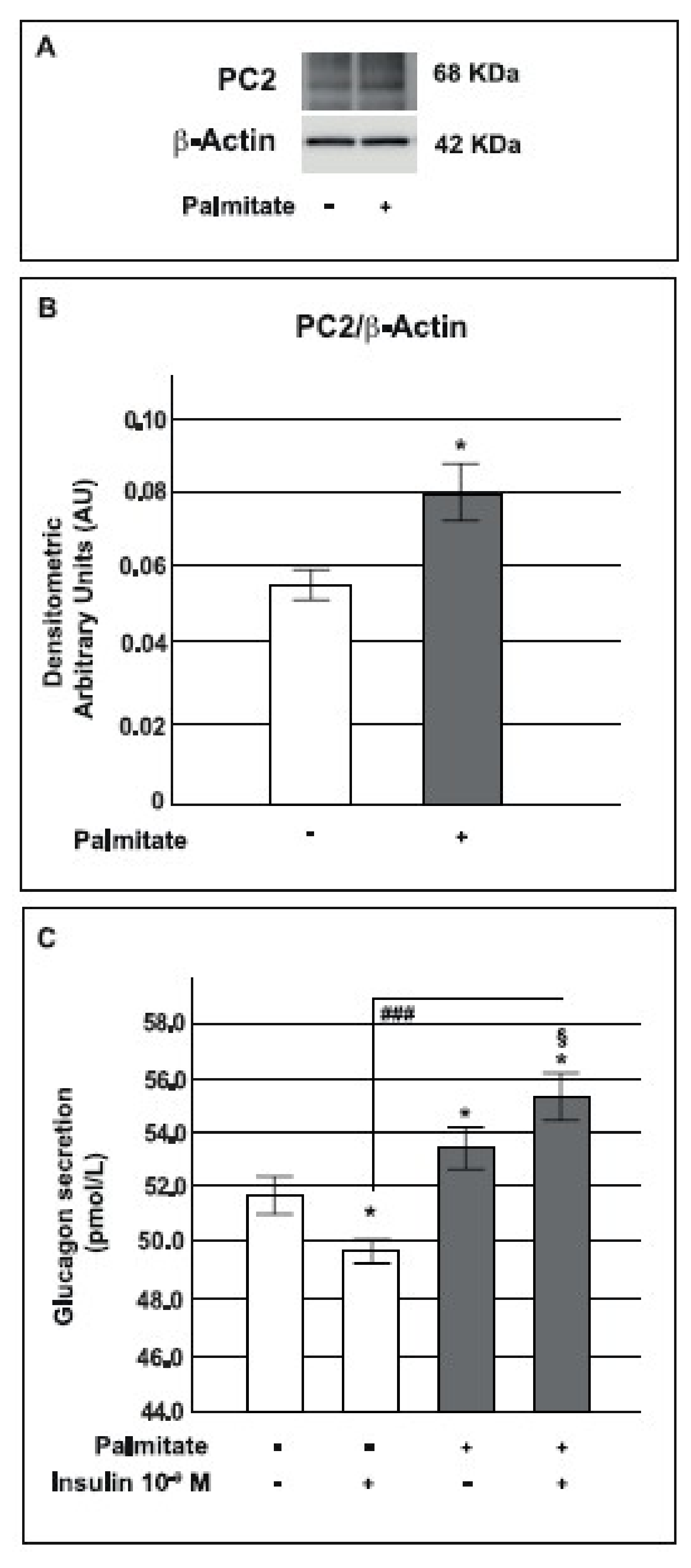 Ijms 19 03791 g007 Ijms 19 03791 g007