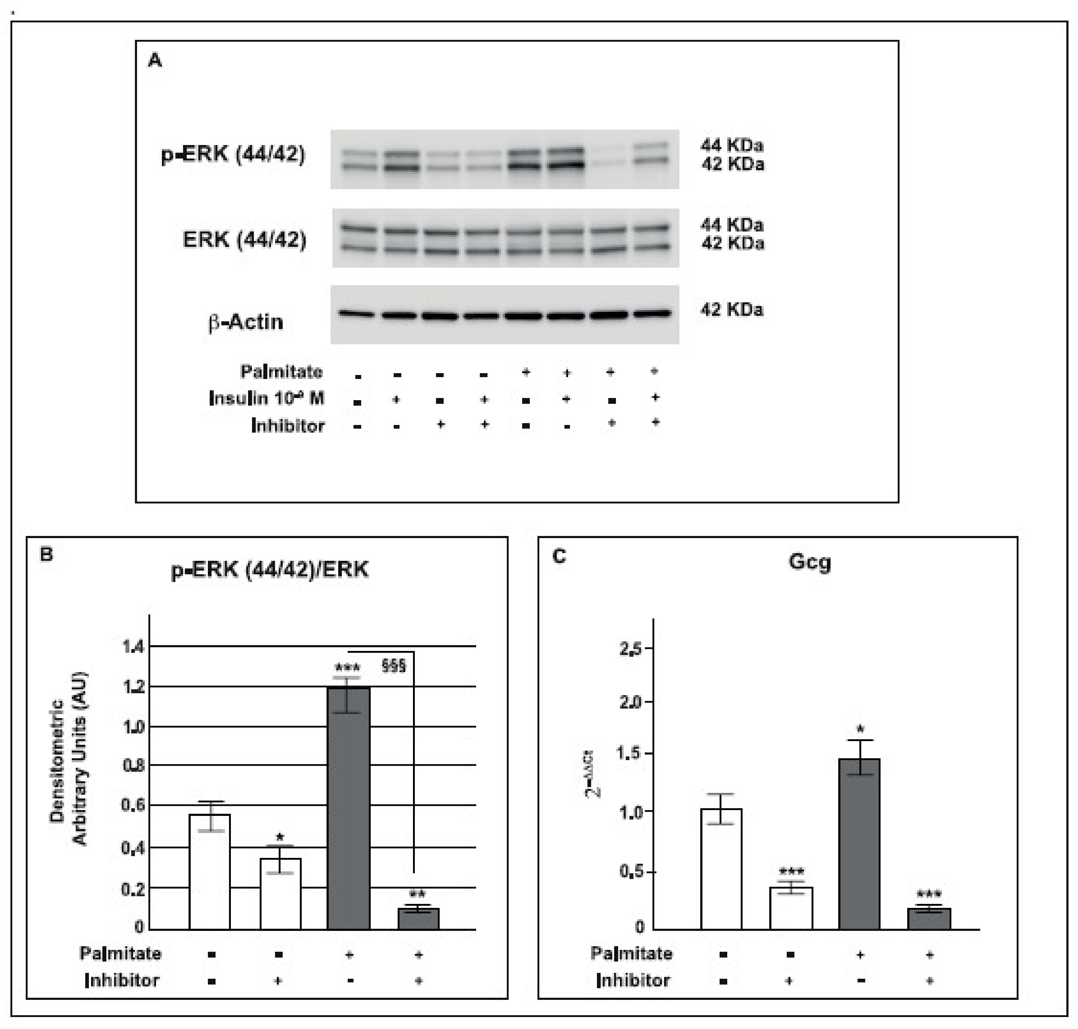 Ijms 19 03791 g008 Ijms 19 03791 g008