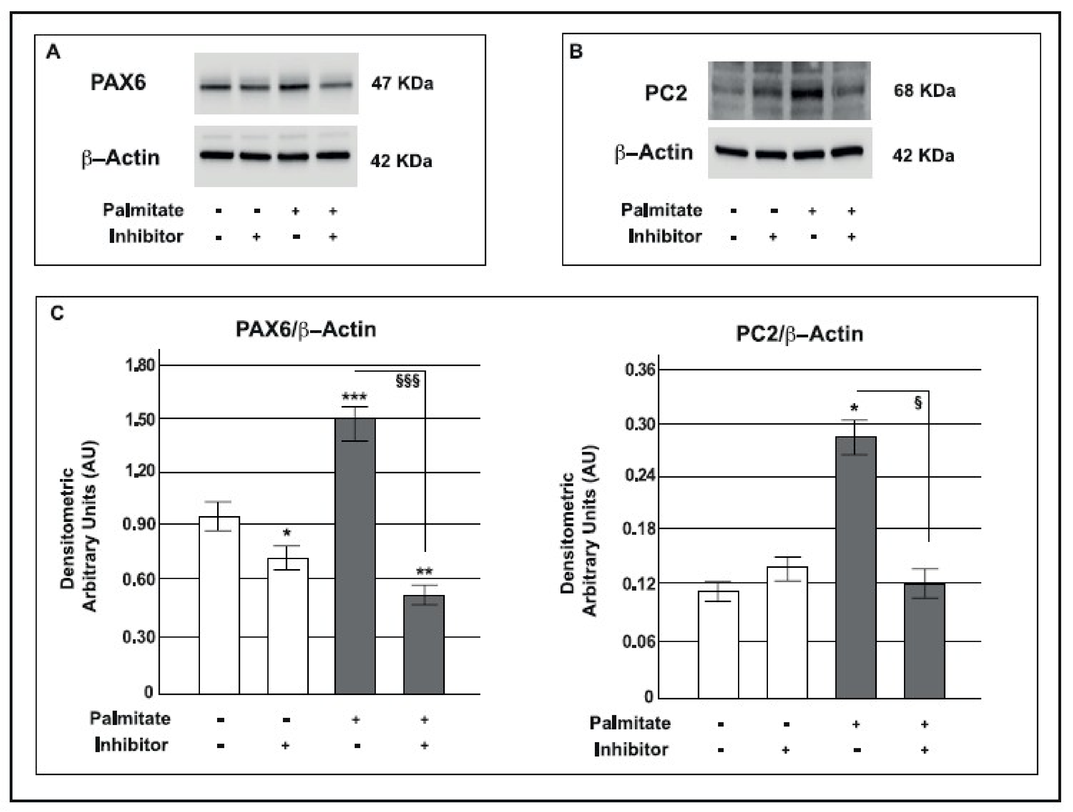 Ijms 19 03791 g009 Ijms 19 03791 g009
