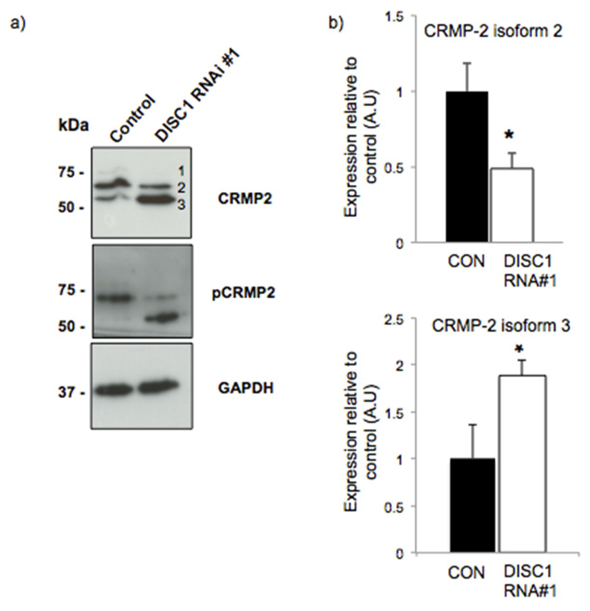 Ijms 20 00119 g001 Ijms 20 00119 g001