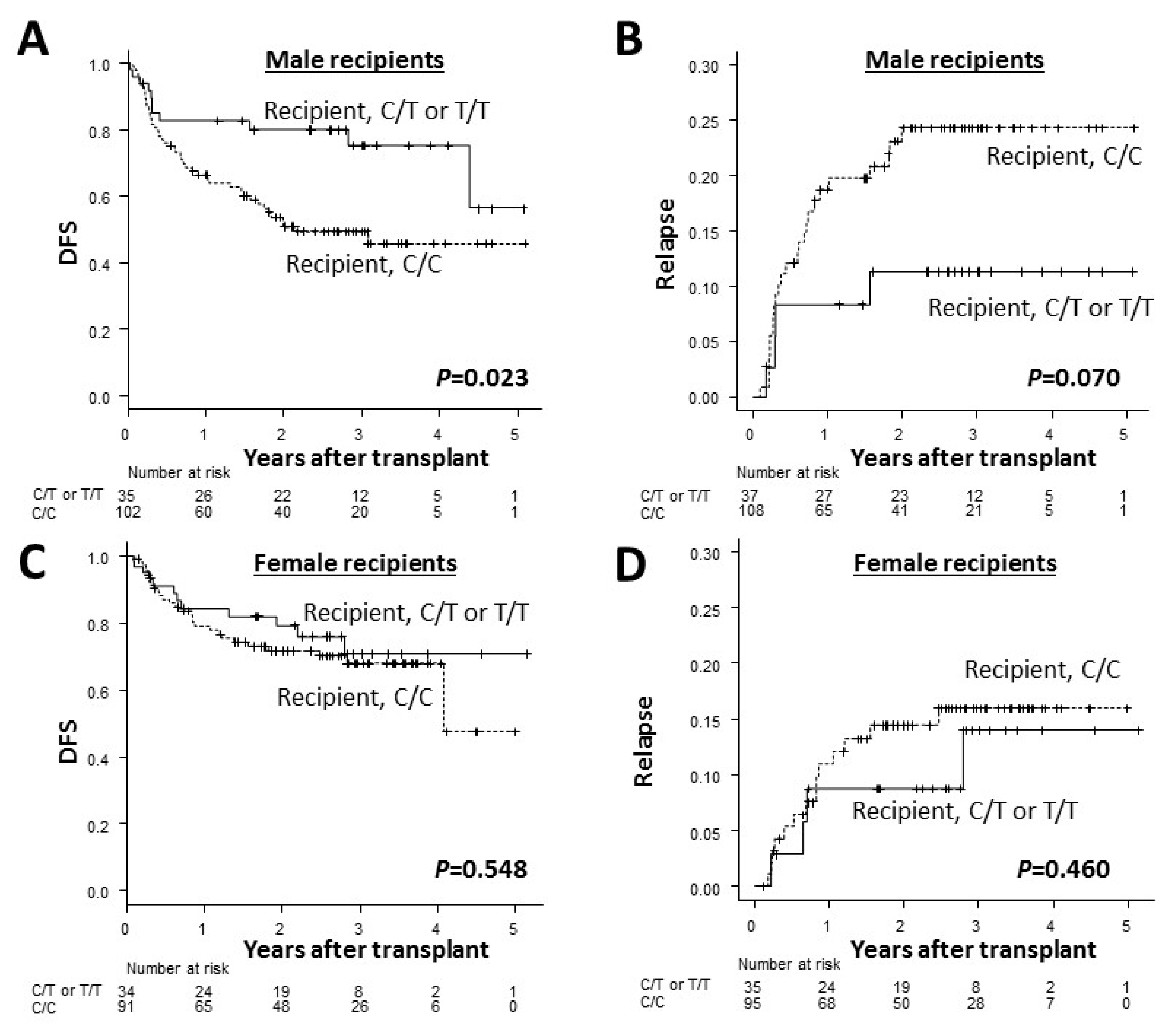 Ijms 20 00214 g003a Ijms 20 00214 g003a