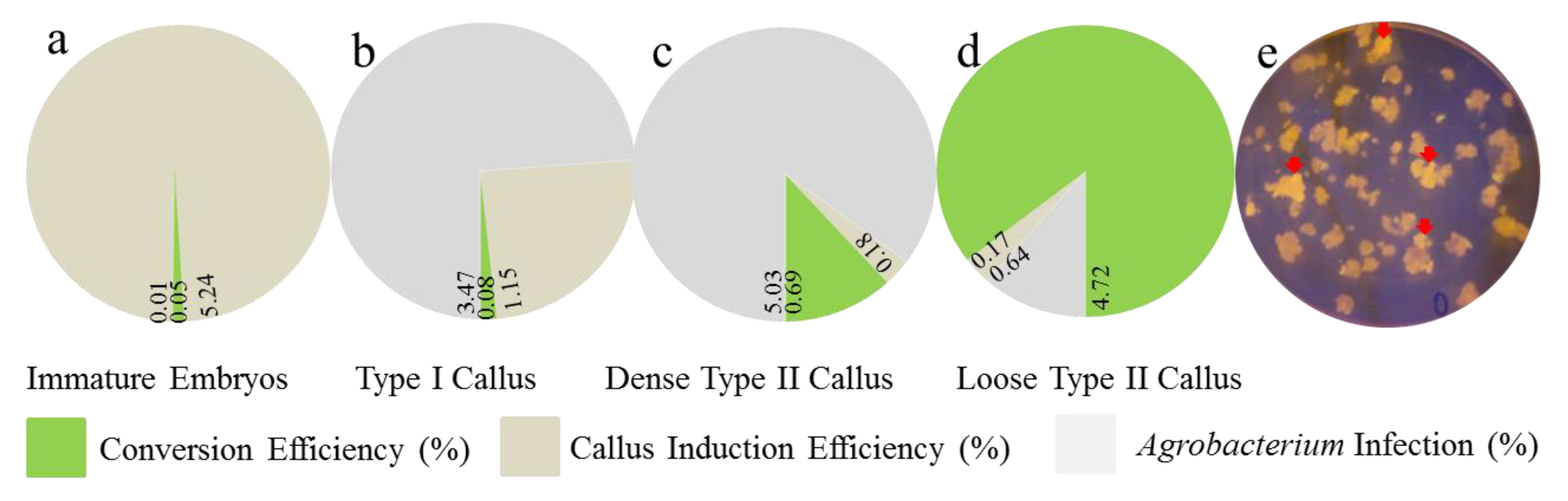 Ijms 20 00279 g001 Ijms 20 00279 g001