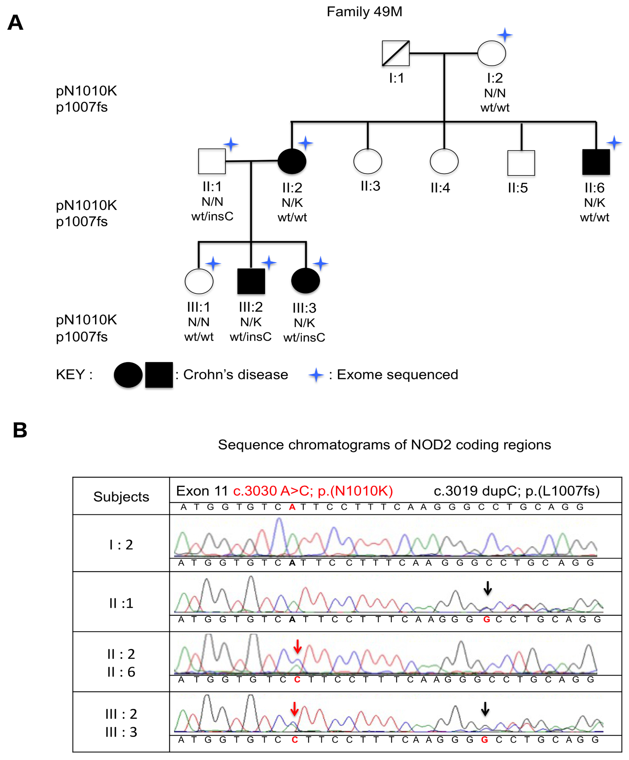 Ijms 20 00835 g001 Ijms 20 00835 g001