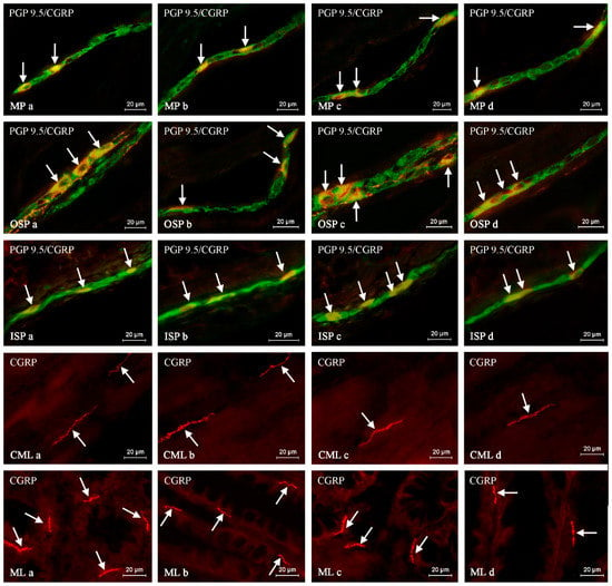 Ijms Free Full Text Age And Sex Dependent Differences In The Free