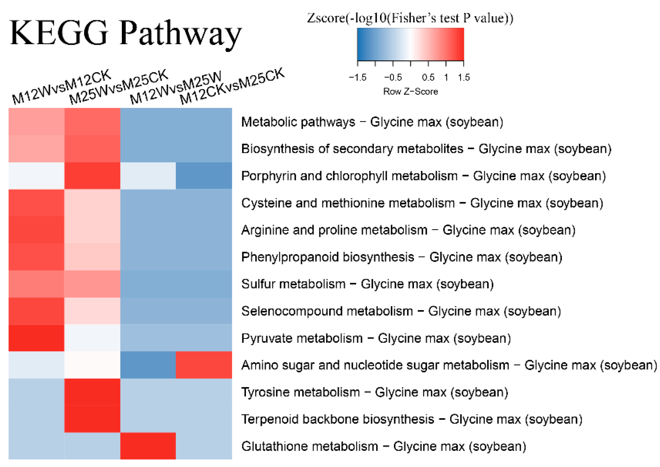 Ijms 20 01359 g006 Ijms 20 01359 g006