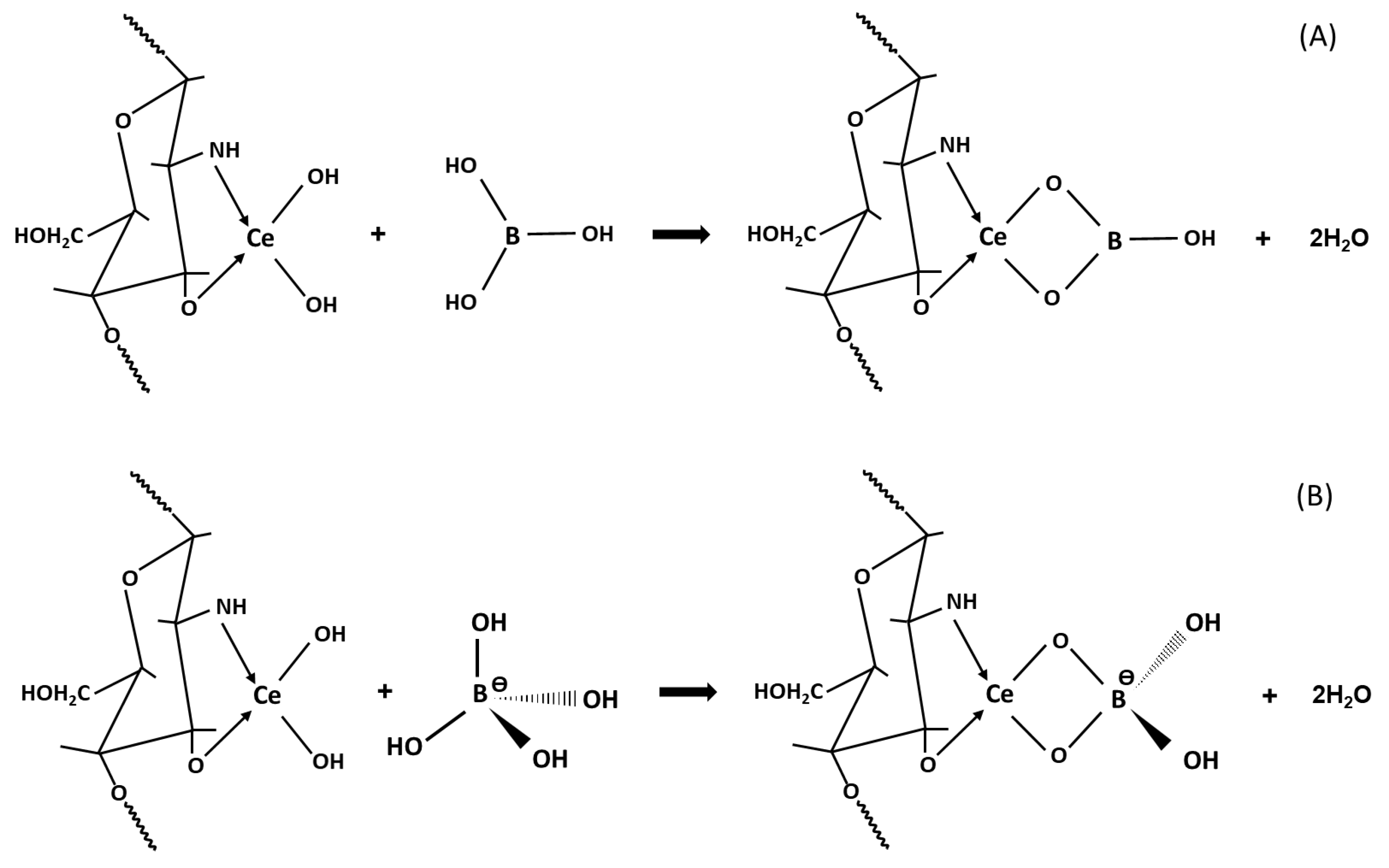 Ijms 20 01567 sch002