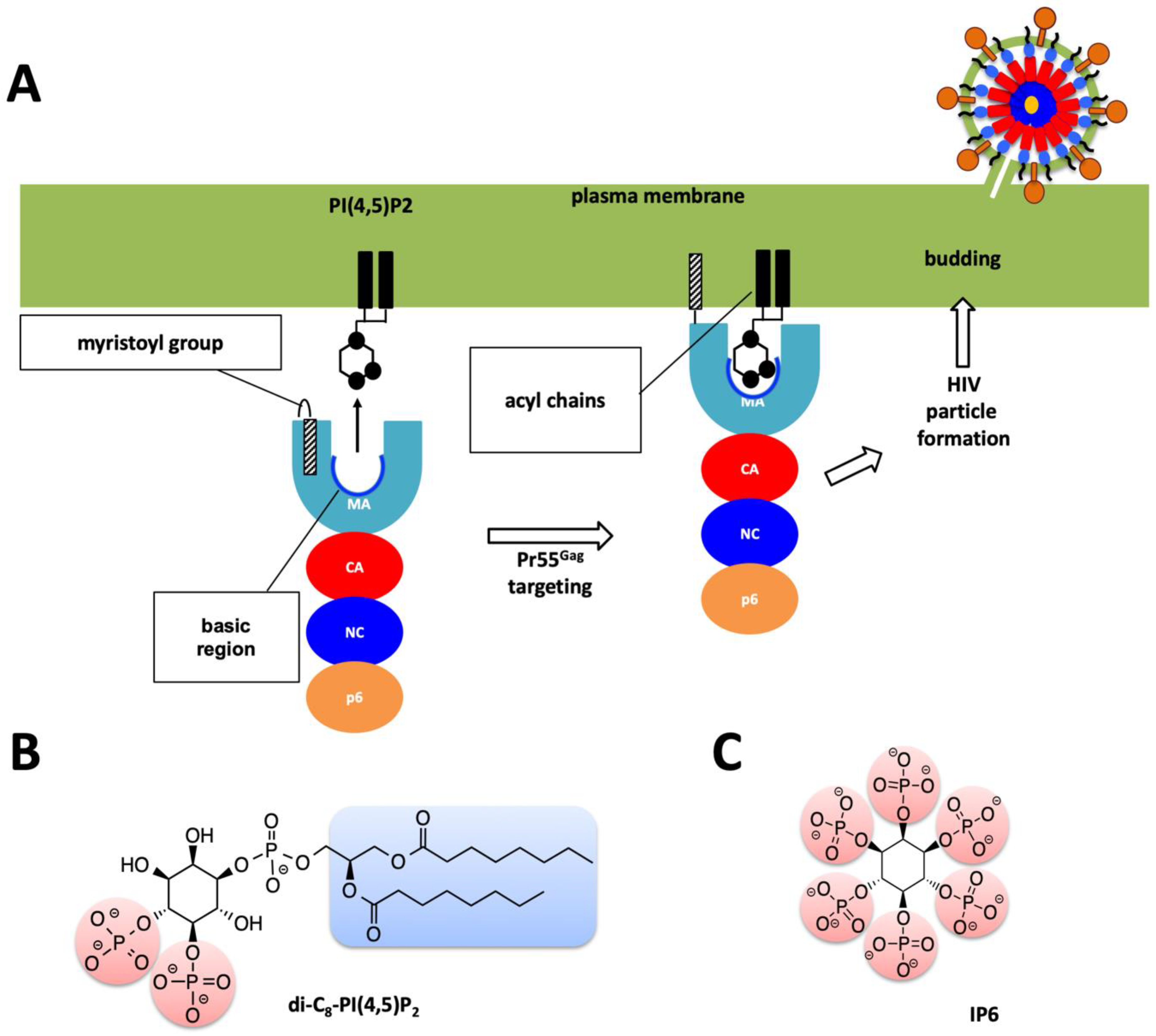 Ijms 20 01675 g002 Ijms 20 01675 g002